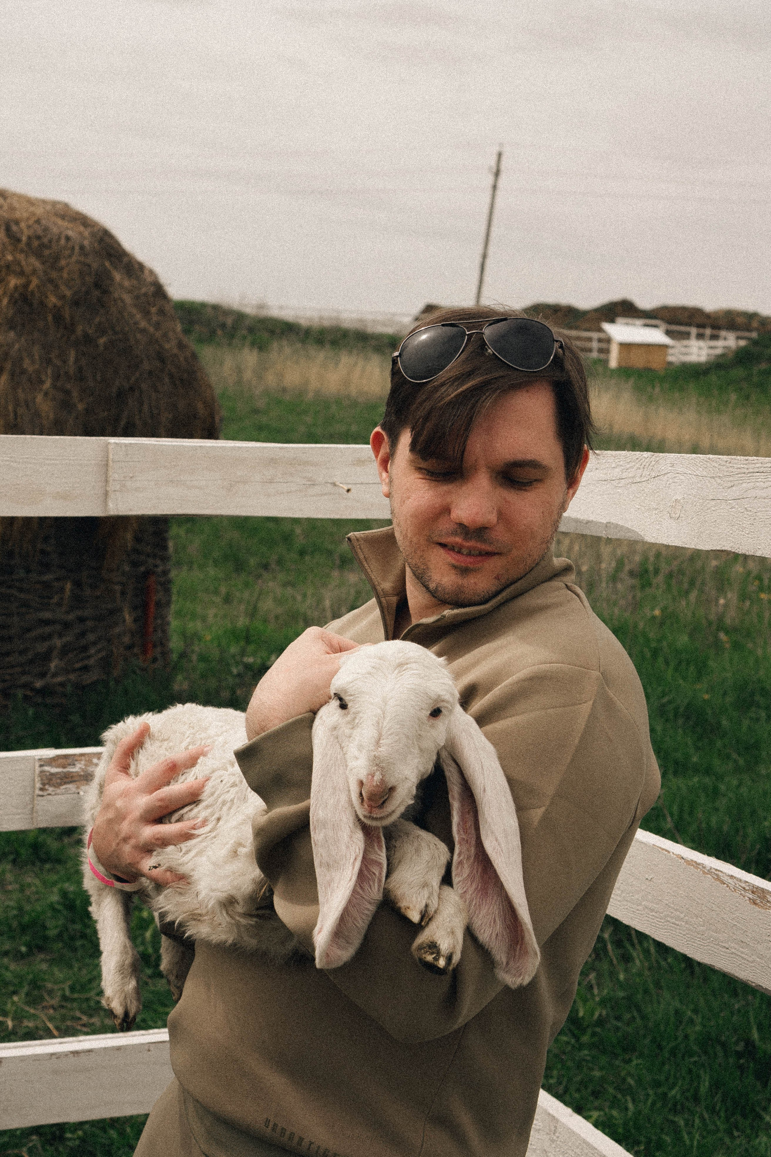 Ферма Альпак. Профессиональный фотограф, Санкт-Петербург — Виктория Богомолова