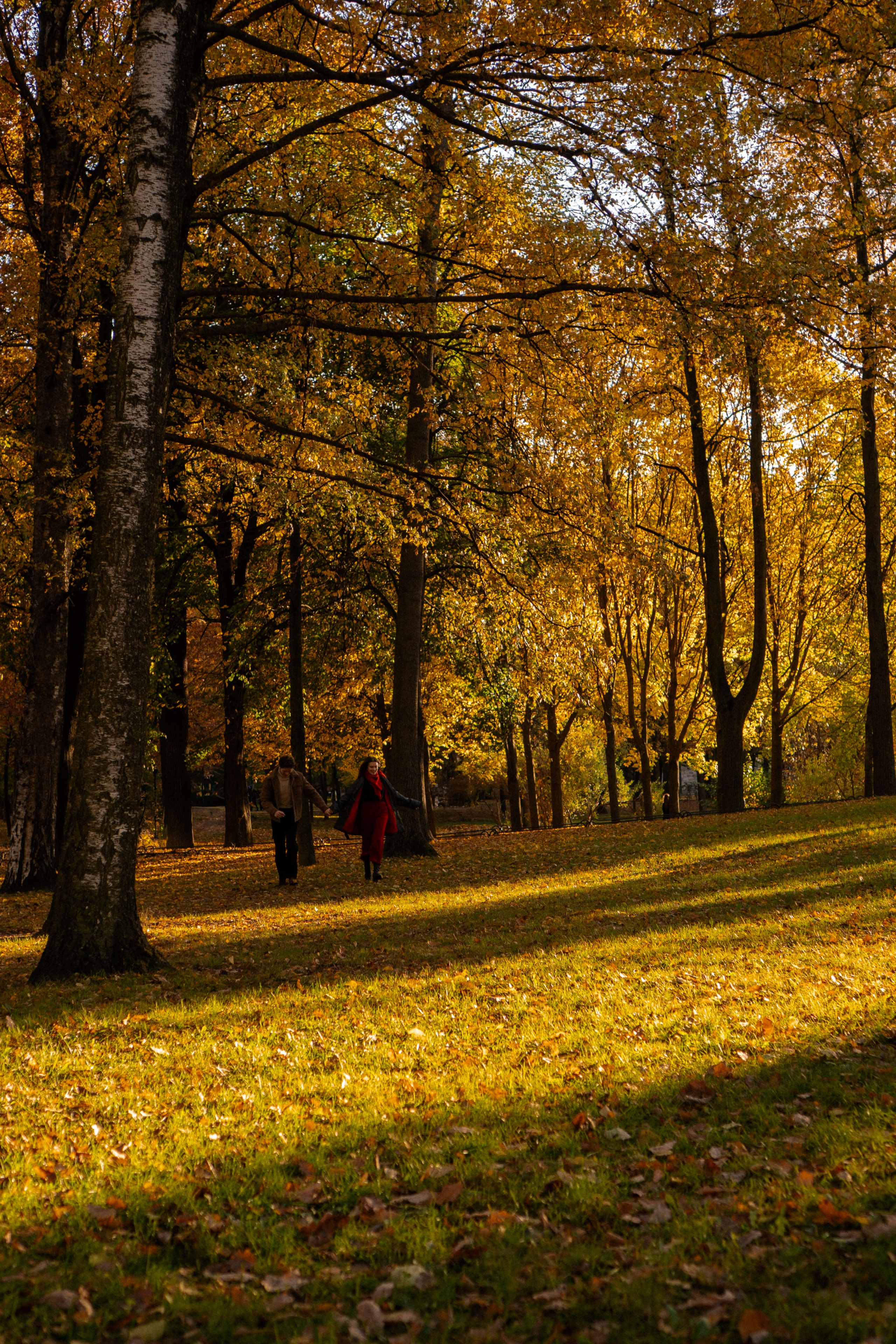 ОСЕННЯЯ ПРОГУЛКА. Профессиональный фотограф, Санкт-Петербург — Виктория Богомолова