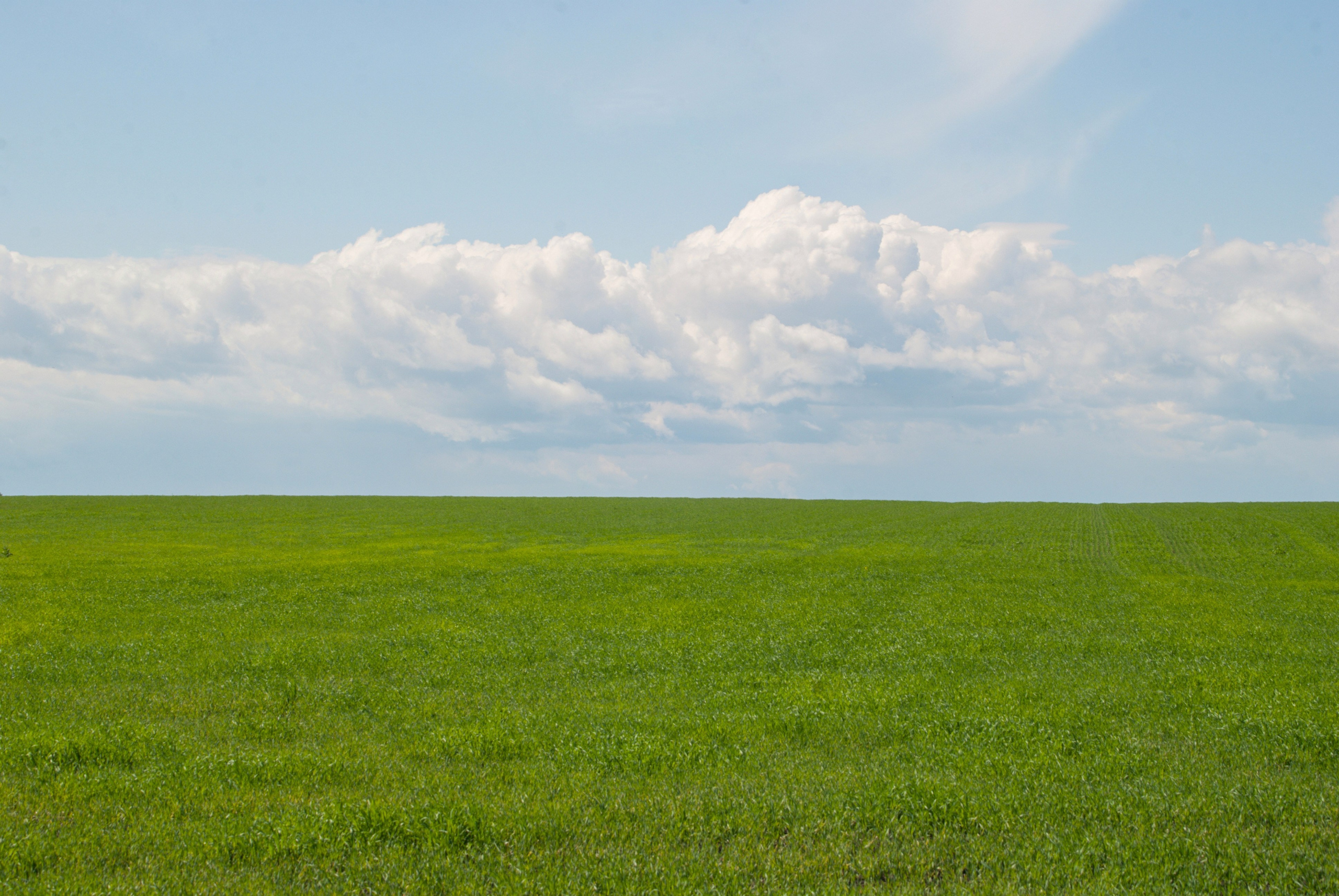 Этот прекрасный мир