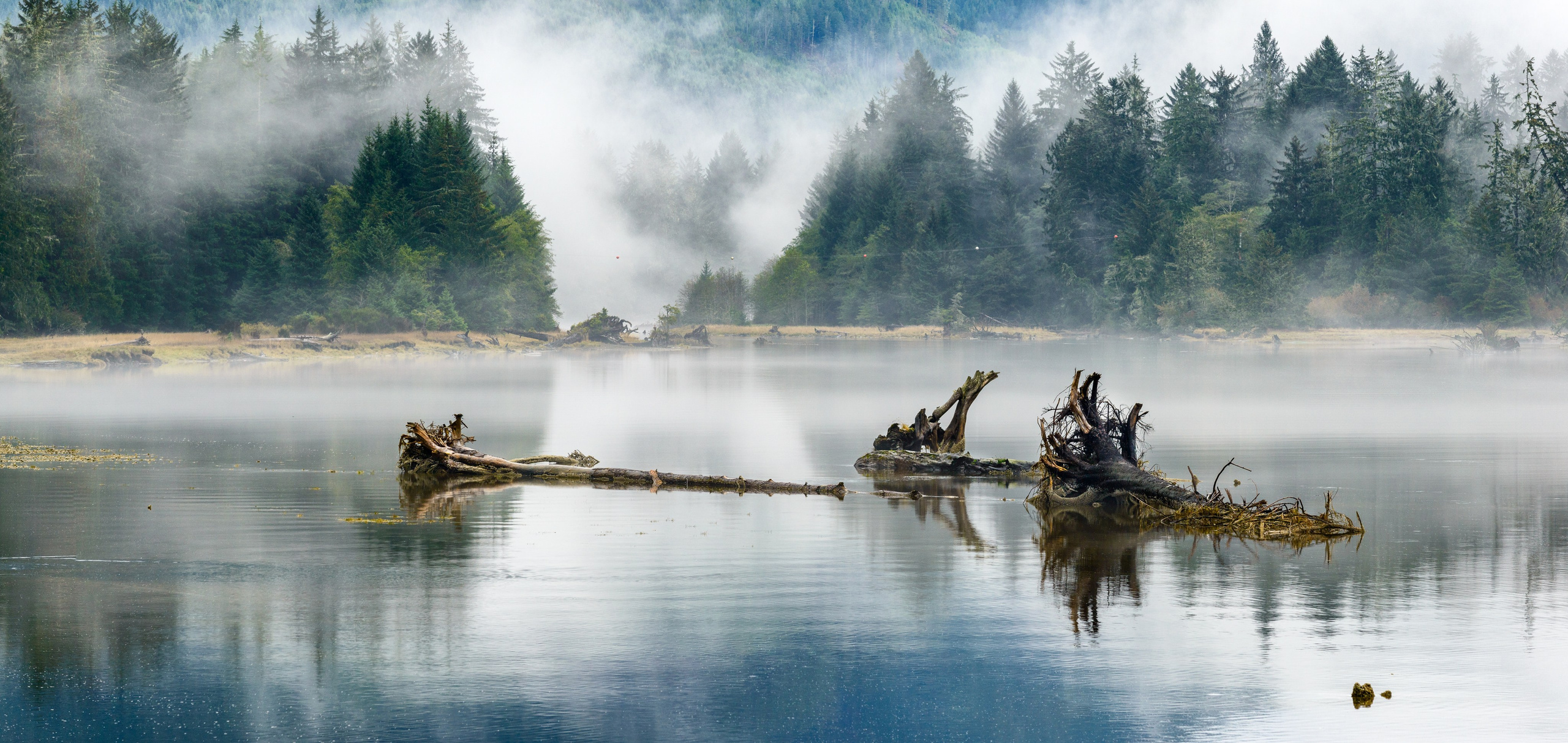 Осень в Канаде. Пейзажный фотограф Сергей Пестерев. Фото природы