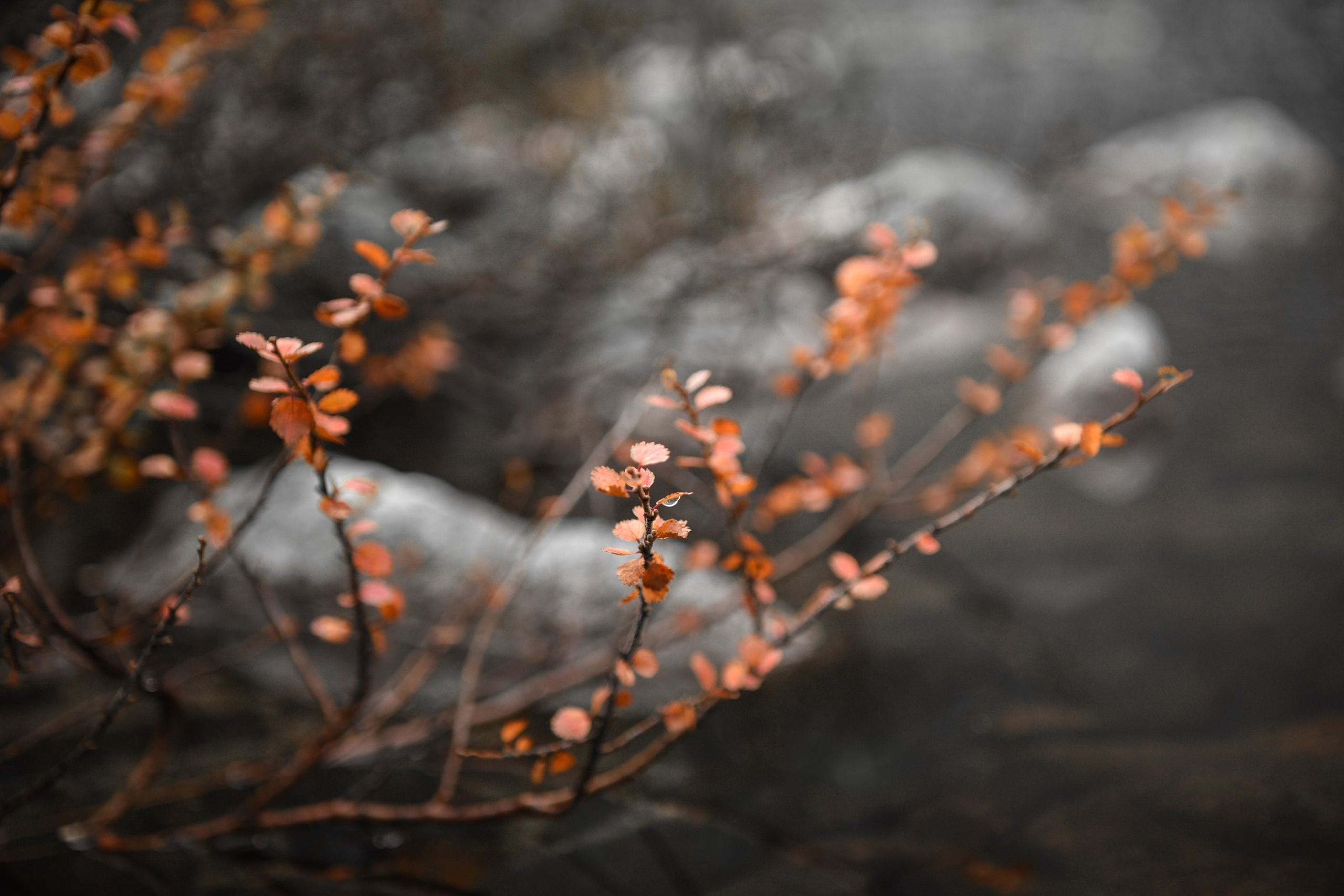 Landscapes. Anastasia Serdyuk, travel photographer, travel photo, portraits, stories, fineart prints