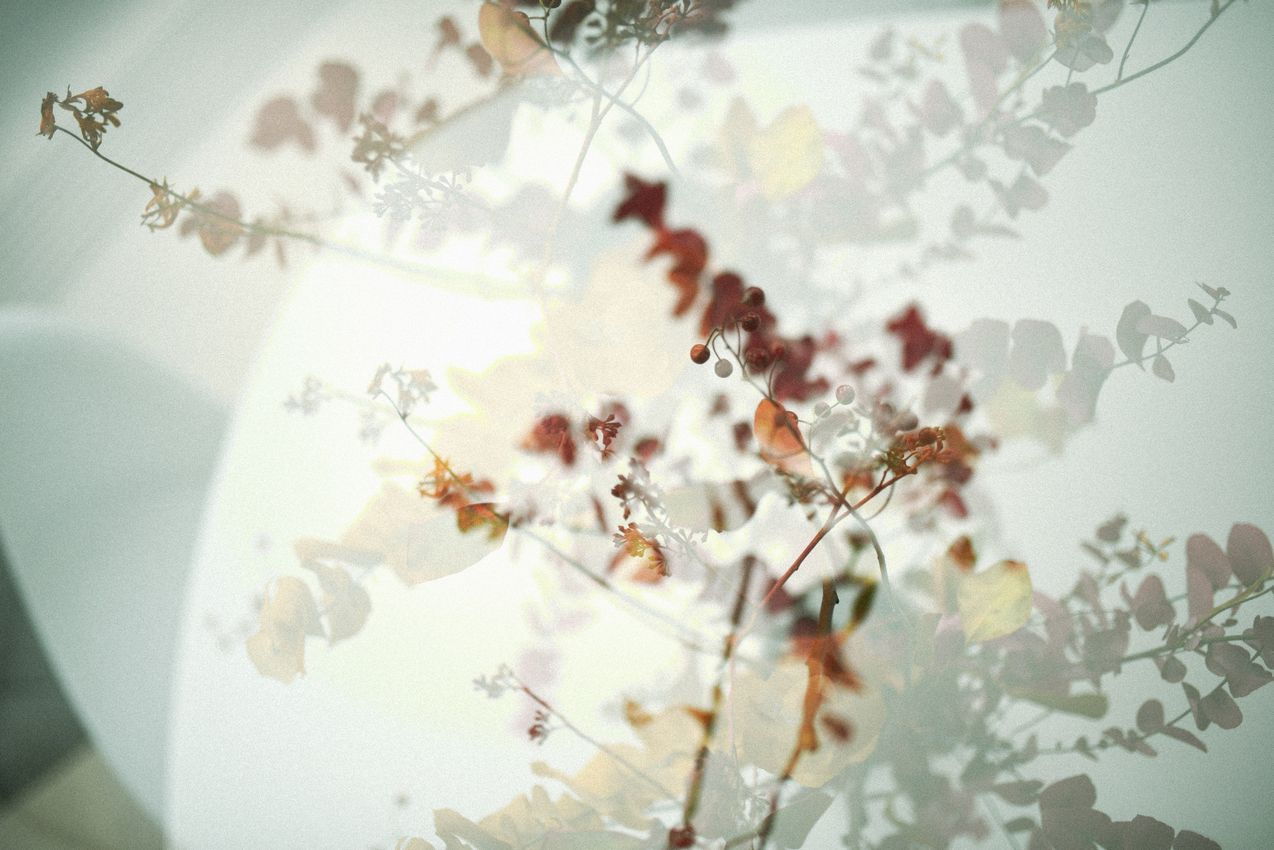 Nature. Anastasia Serdyuk, travel photographer, travel photo, portraits, stories, fineart prints