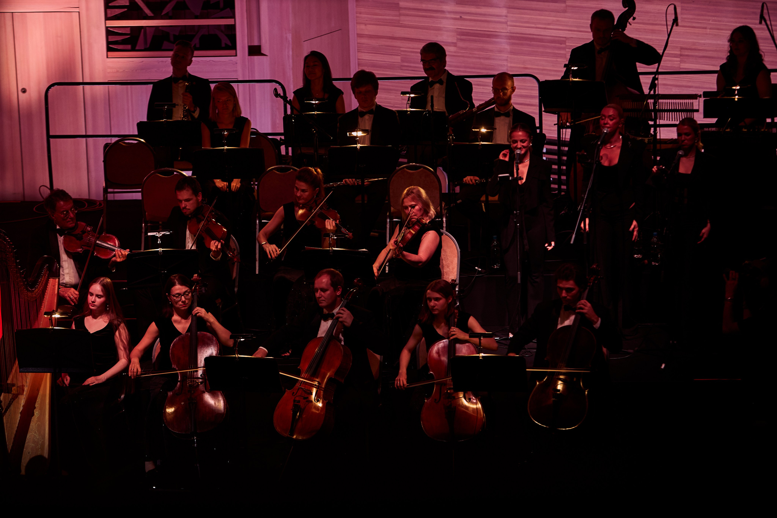 Concert. Репортажный фотограф, портретный фотограф  г. Москва