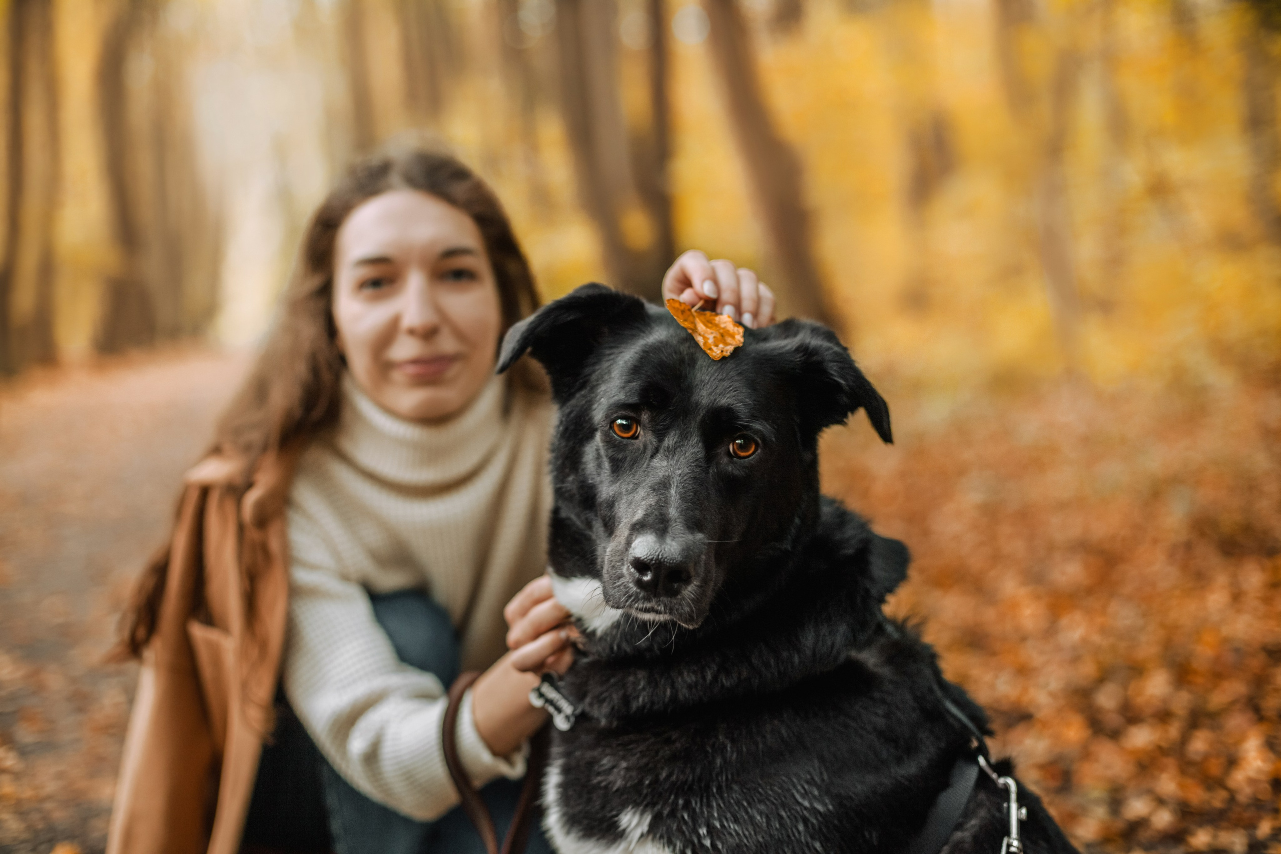 Юля и Фортуна. Фотограф-анималист Татьяна Степанова