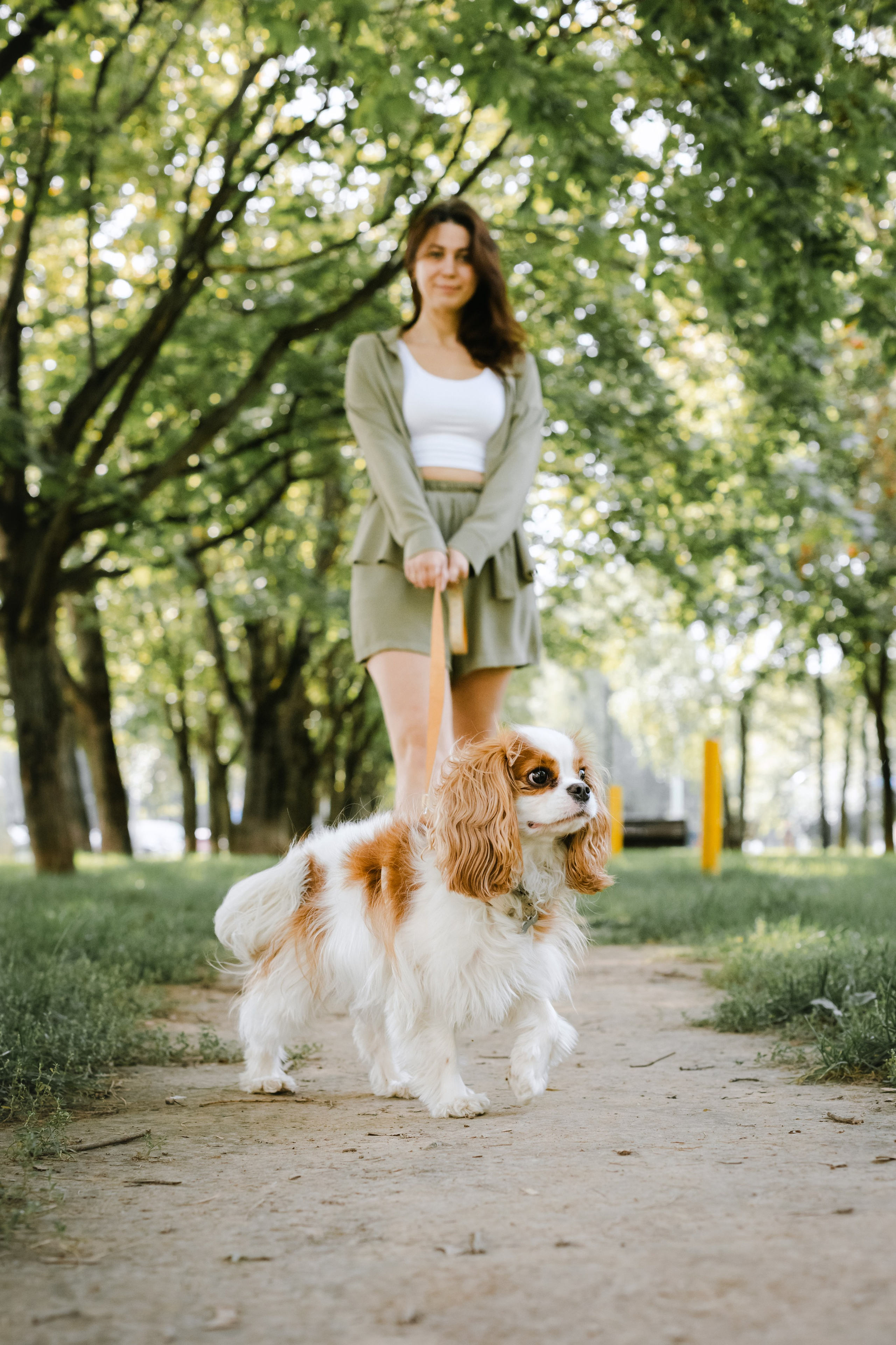 Фотопрогулка на бульваре. Фотограф-анималист Татьяна Степанова