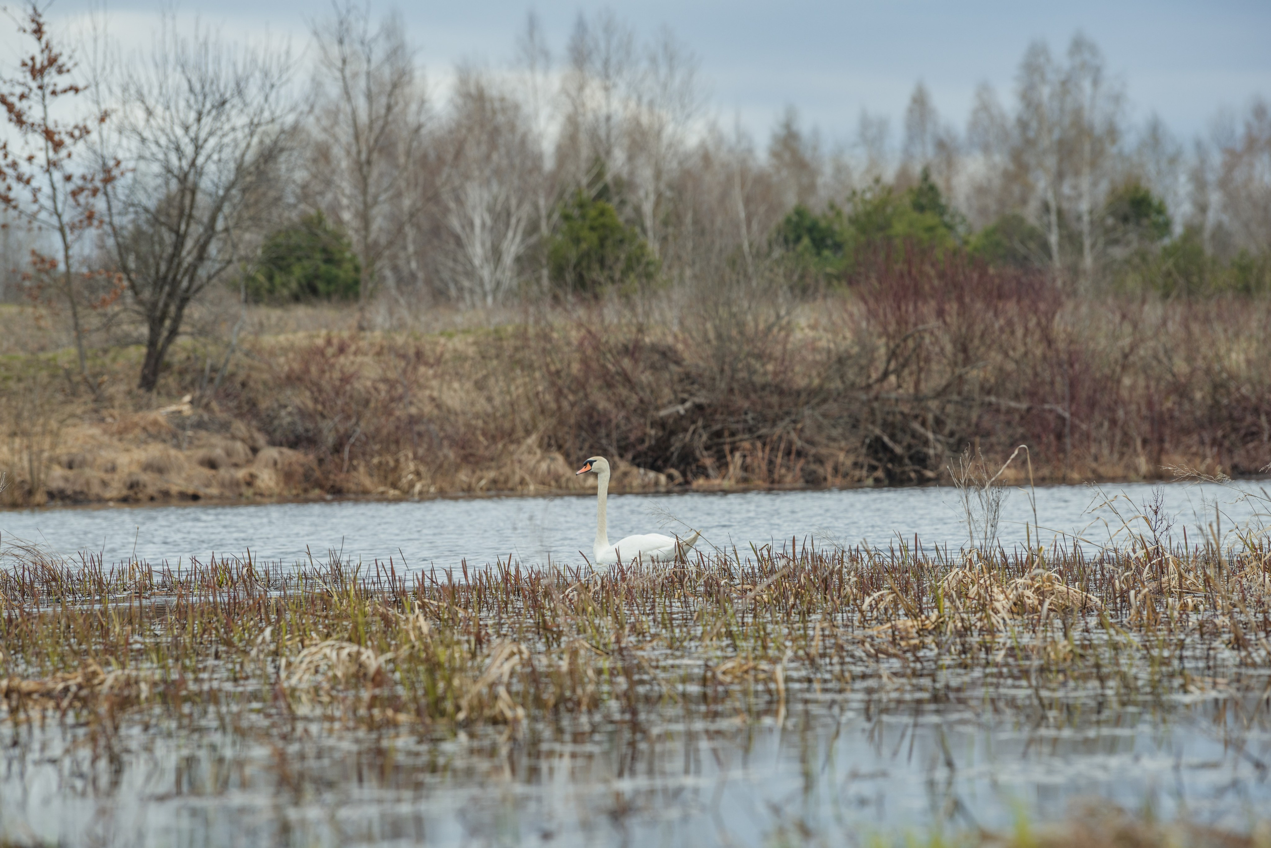 Разведка нового маршрута. Репортажный фотограф Владимир Беляй