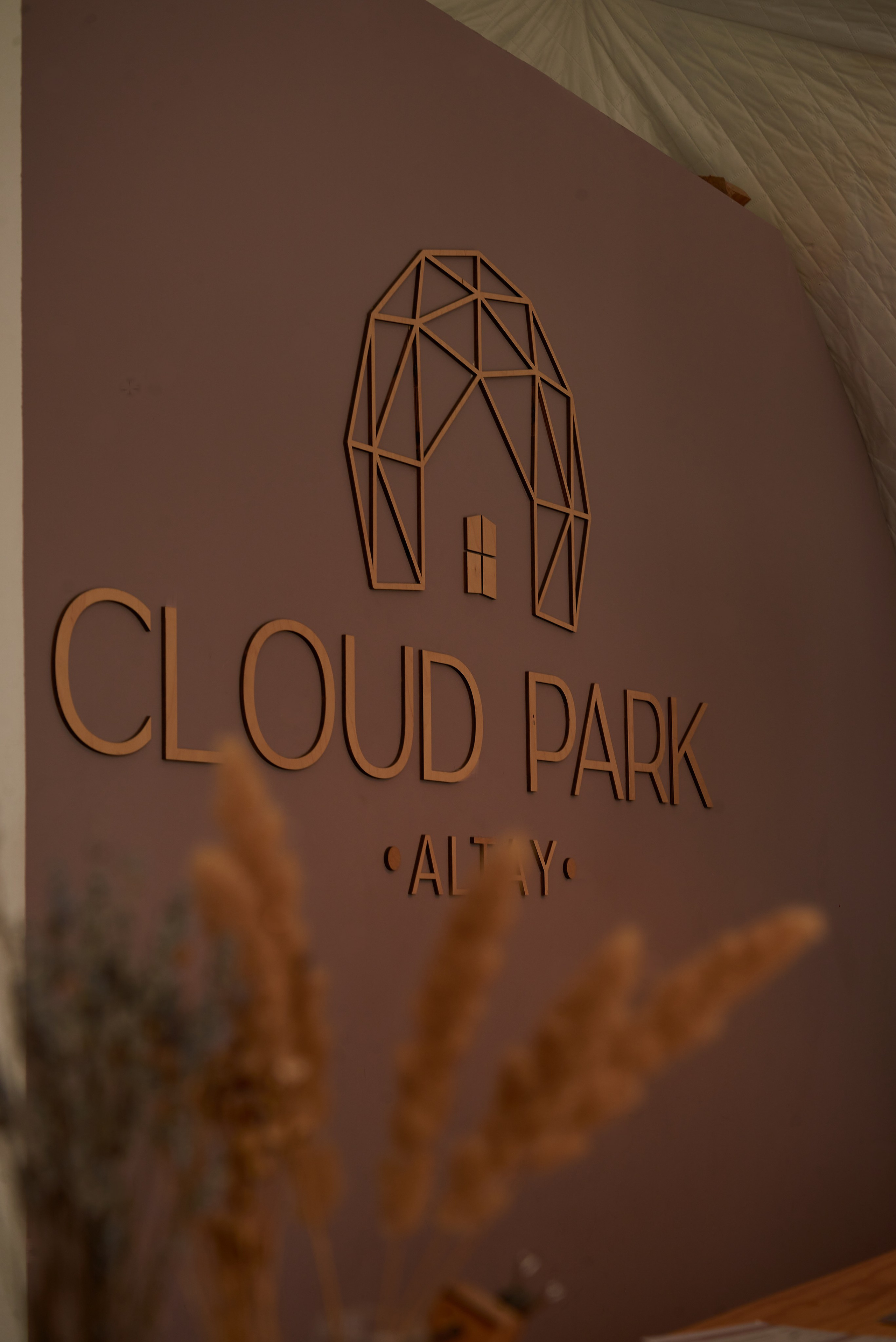 Купольный отель. Семейный фотограф в Барнауле, Горный Алтай, Заринск, Алейск