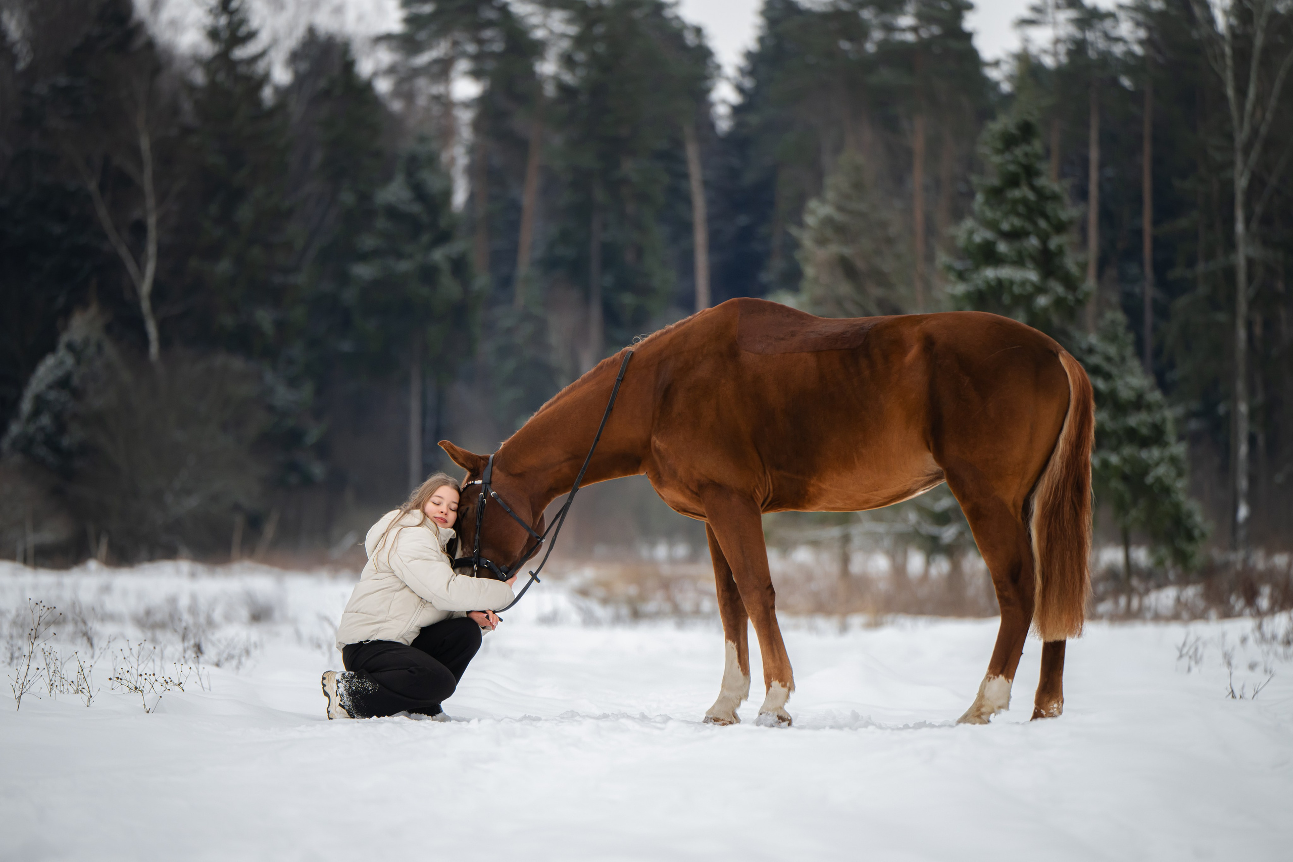 Виктория и Лео. Фотограф Анималист в Москве Анастасия Жучкова