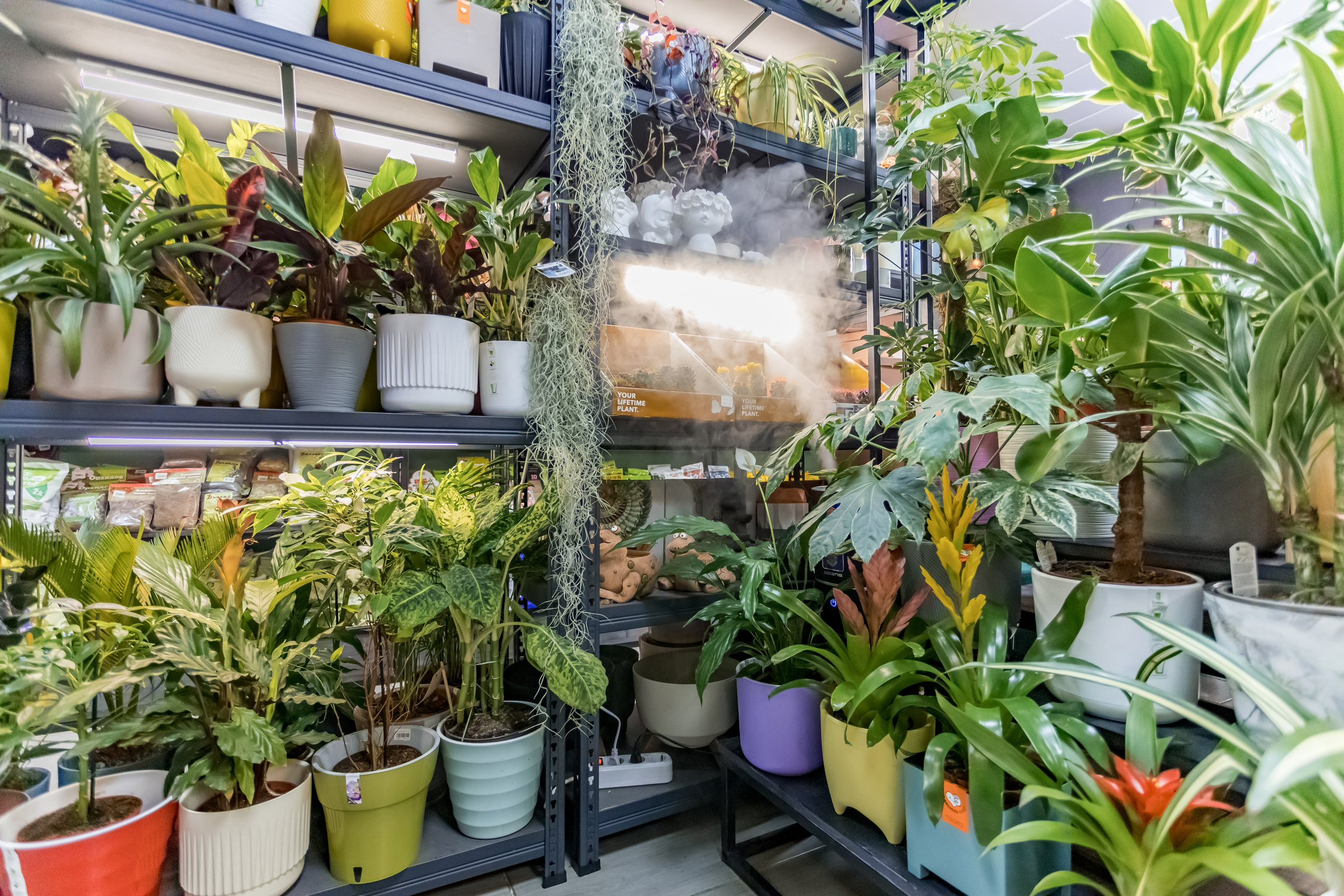 Цветочный магазин Any Flowers. Интерьеры, Контент, Портреты | Фотограф в Москве Дани Терно