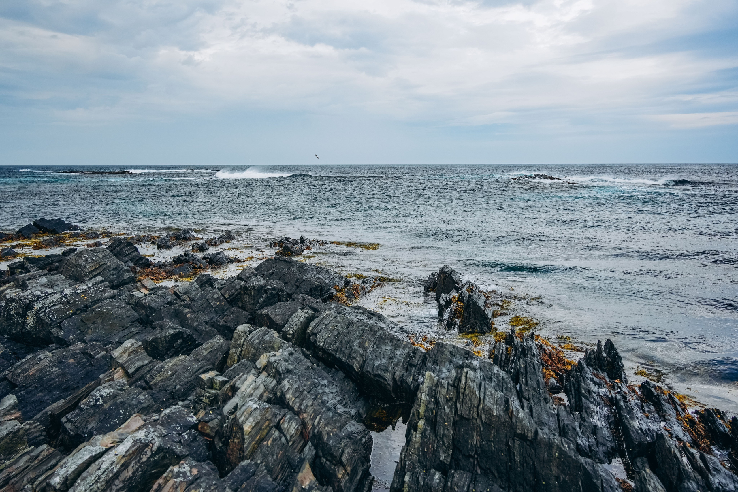 СЕВЕР. Event фотограф Степанова Александра