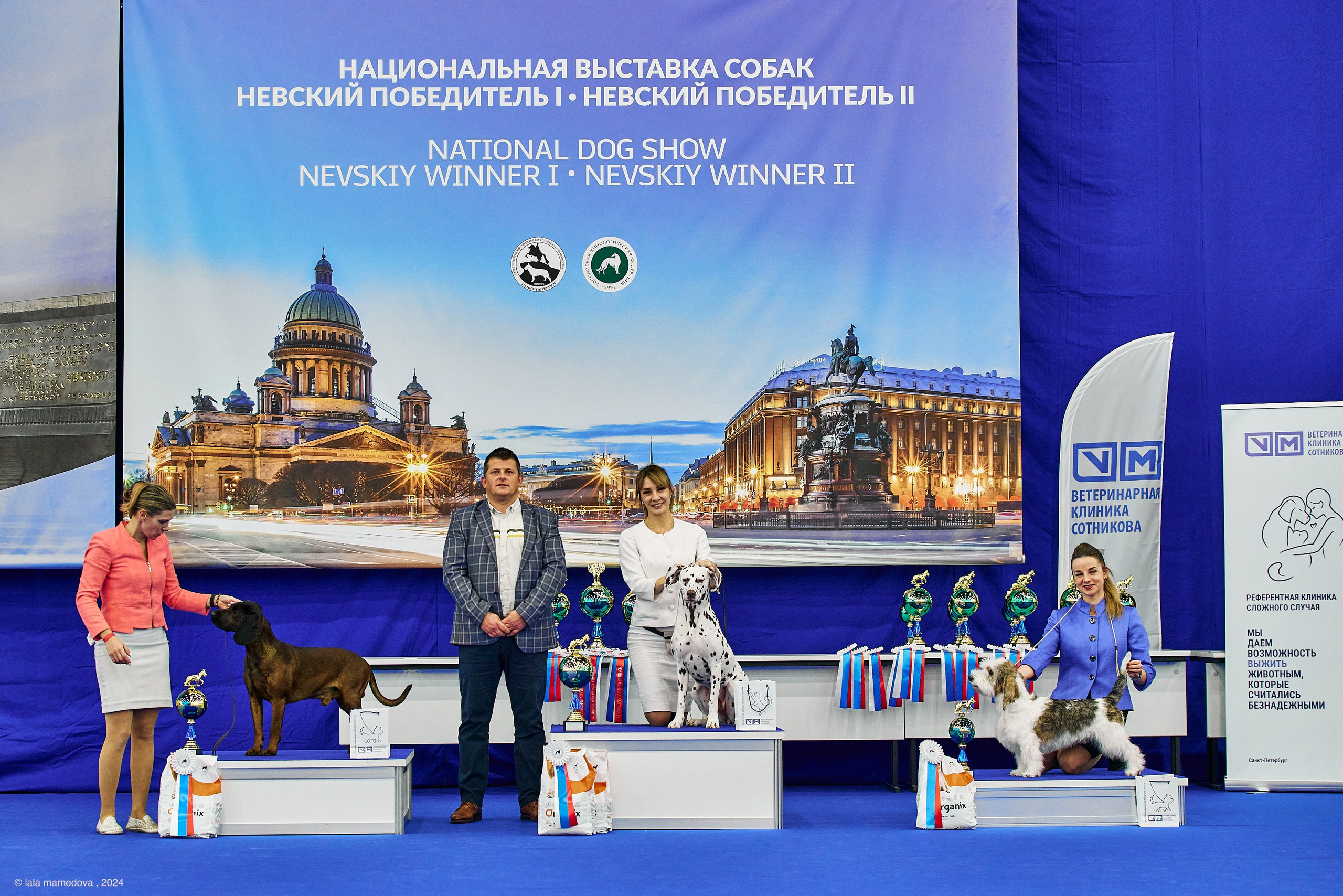 РЕЙТИНГОВАЯ ВЫСТАВКА СОБАК ВСЕХ ПОРОД С ОСОБЫМ СТАТУСОМ"НЕВСКИЙ ПОБЕДИТЕЛЬ-2024-2"