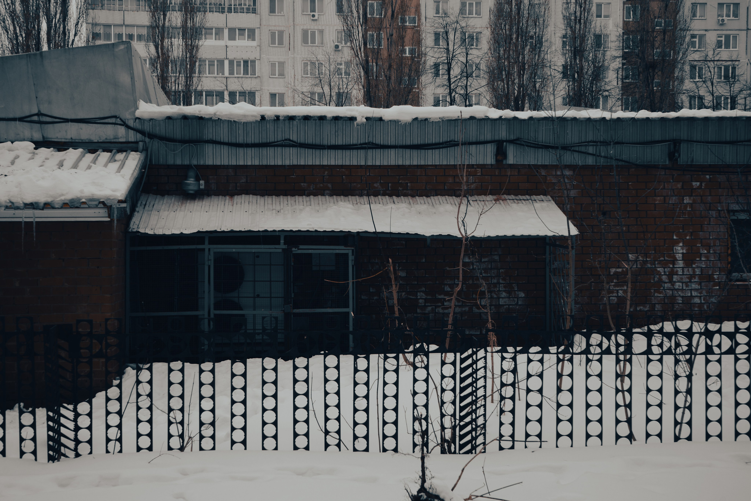 Стрит — фотография в Санкт-Петербурге. Портретный фотограф в Санкт-Петербурге Дори Милиева