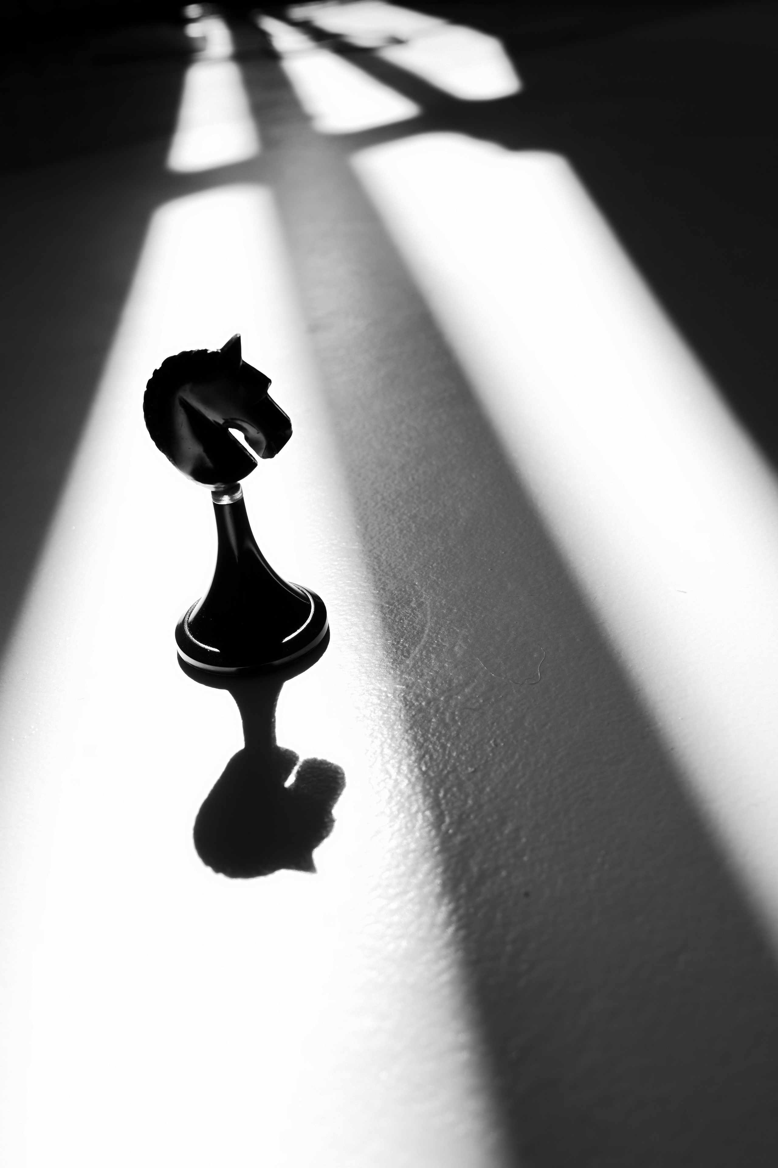 Маргарита шахматы. Портретный фотограф в Санкт-Петербурге Дария Сыч