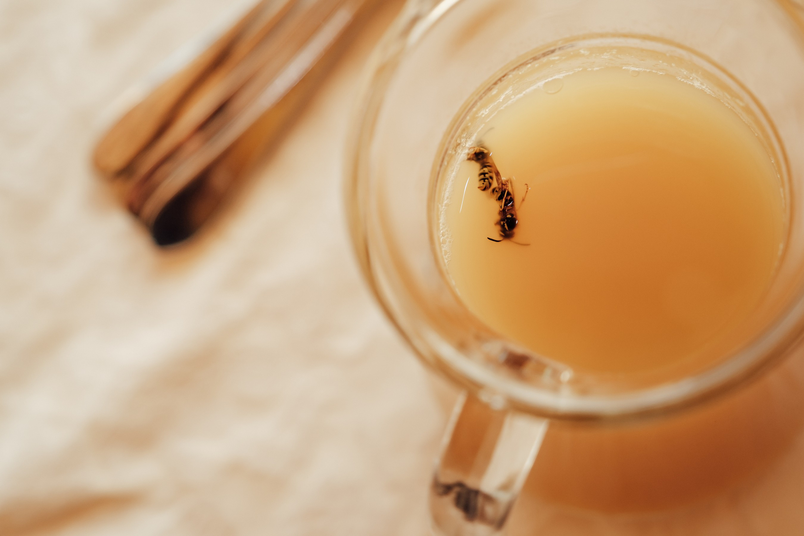 Бэха в подарок (свадьба). Константин Суриков свадебный фотограф Санкт-Петербург