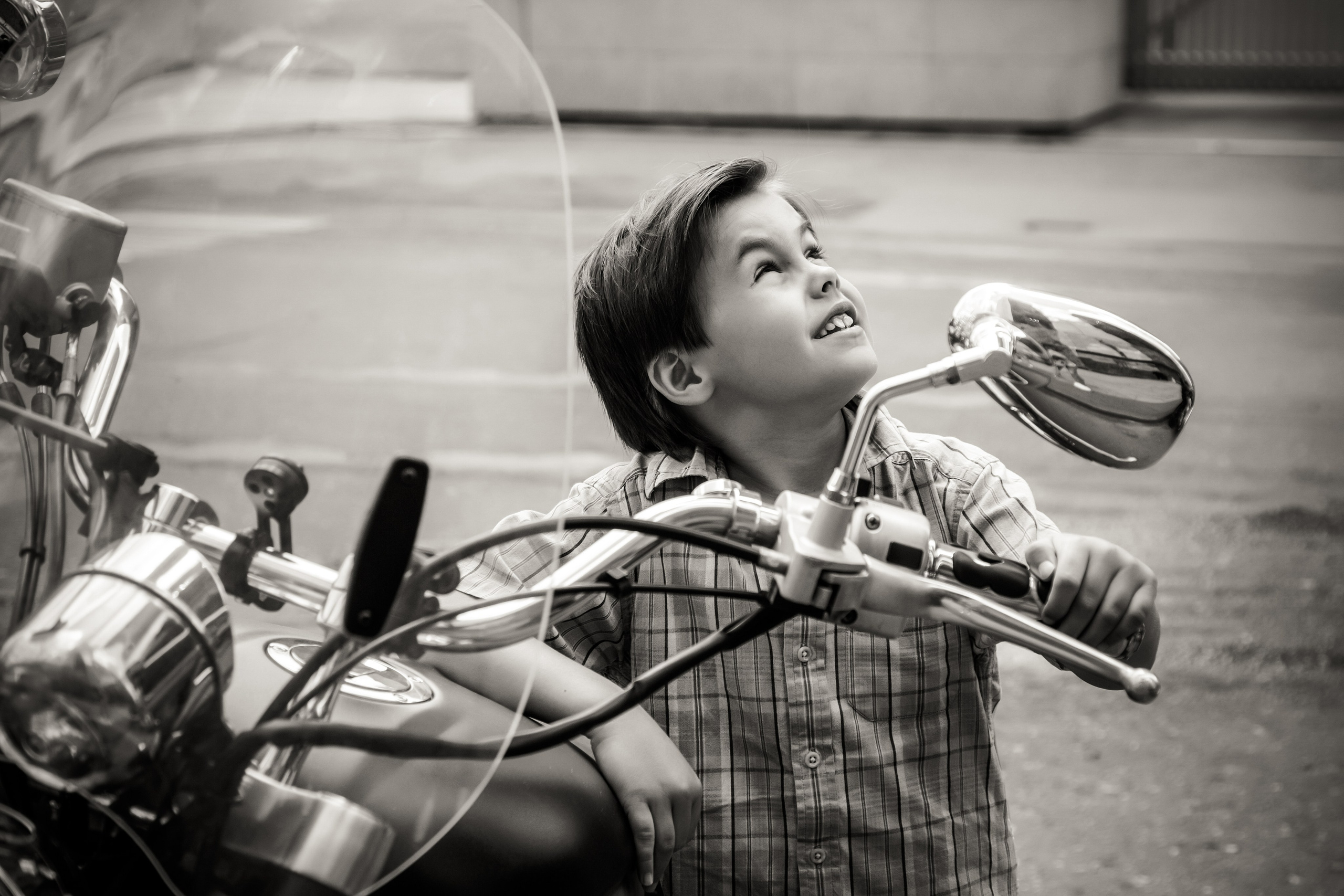 Лев. Свадебный и семейный фотограф в Москве и Подмосковье Лариса Козлова