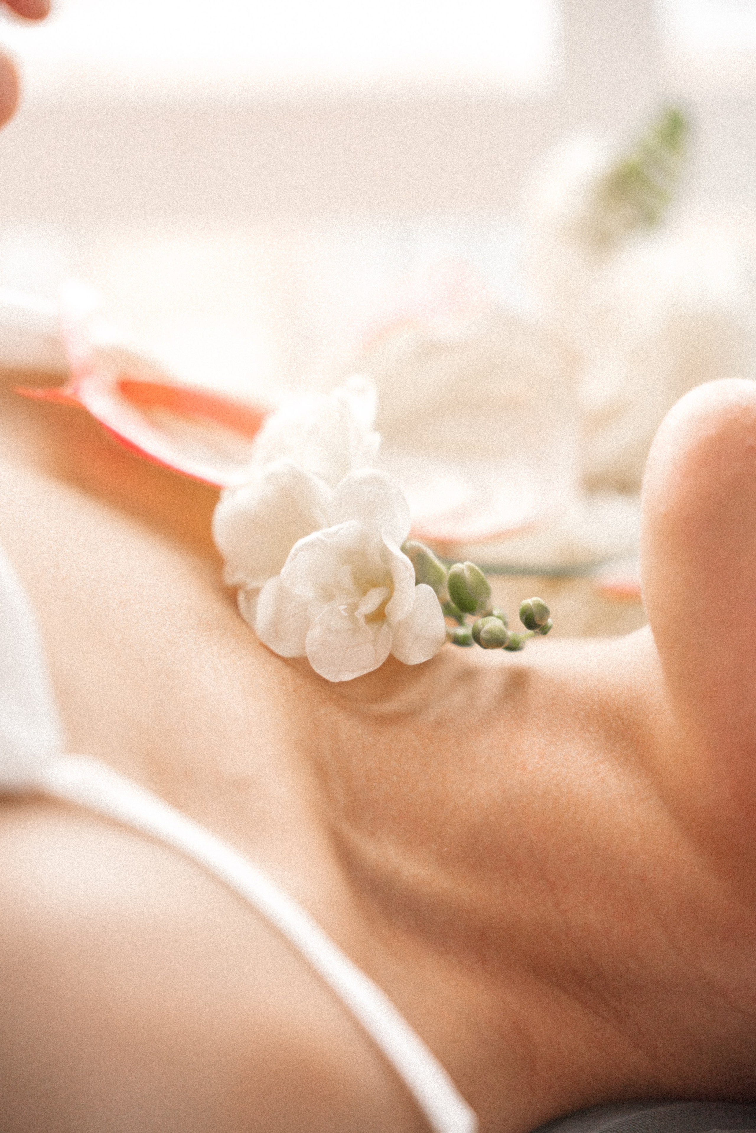 Утро невесты (Сабрина). Семейный фотограф Одинцово Москва Наталия Черенкова