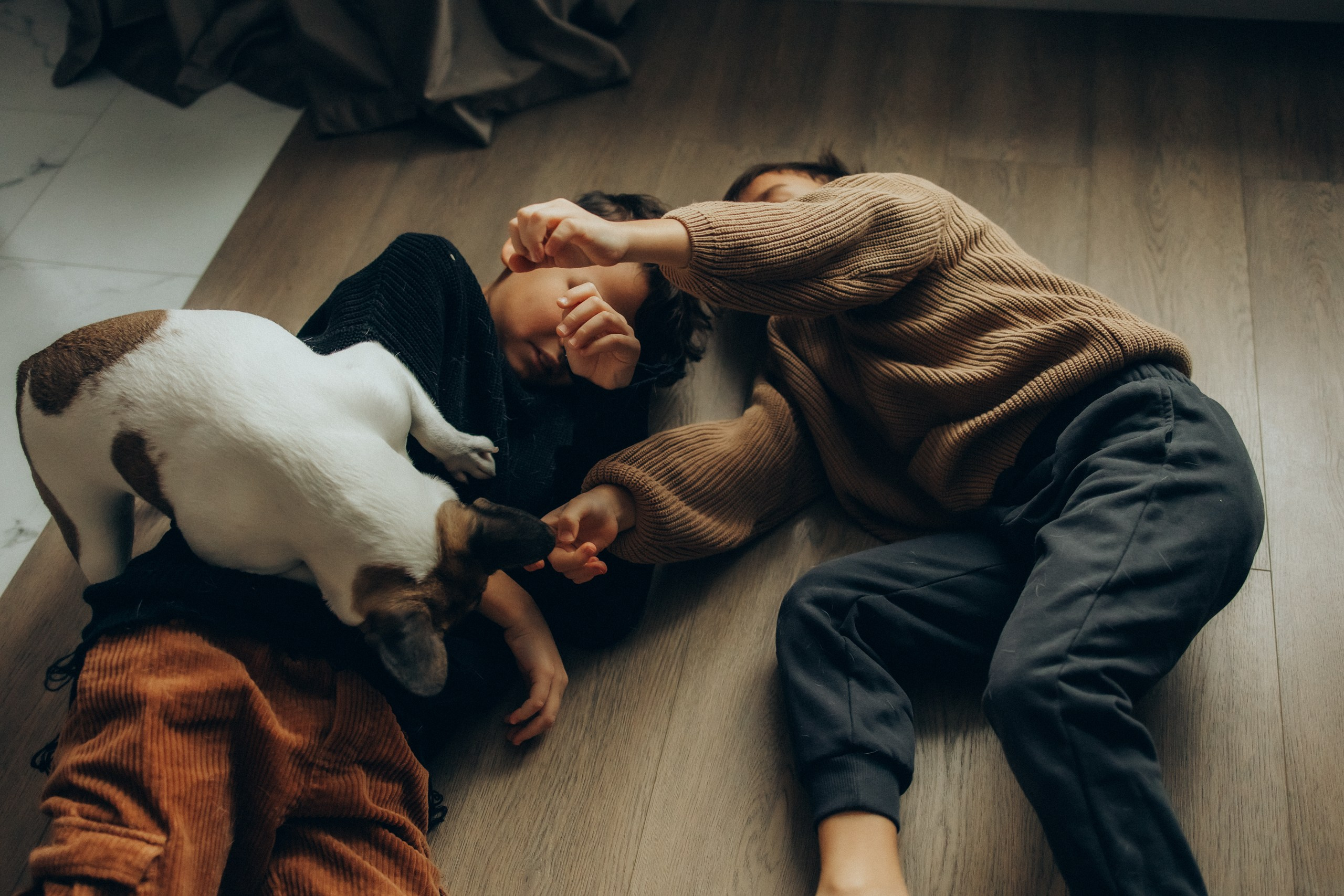 Руслан, Тимур и Луна. Семейный фотограф Москва