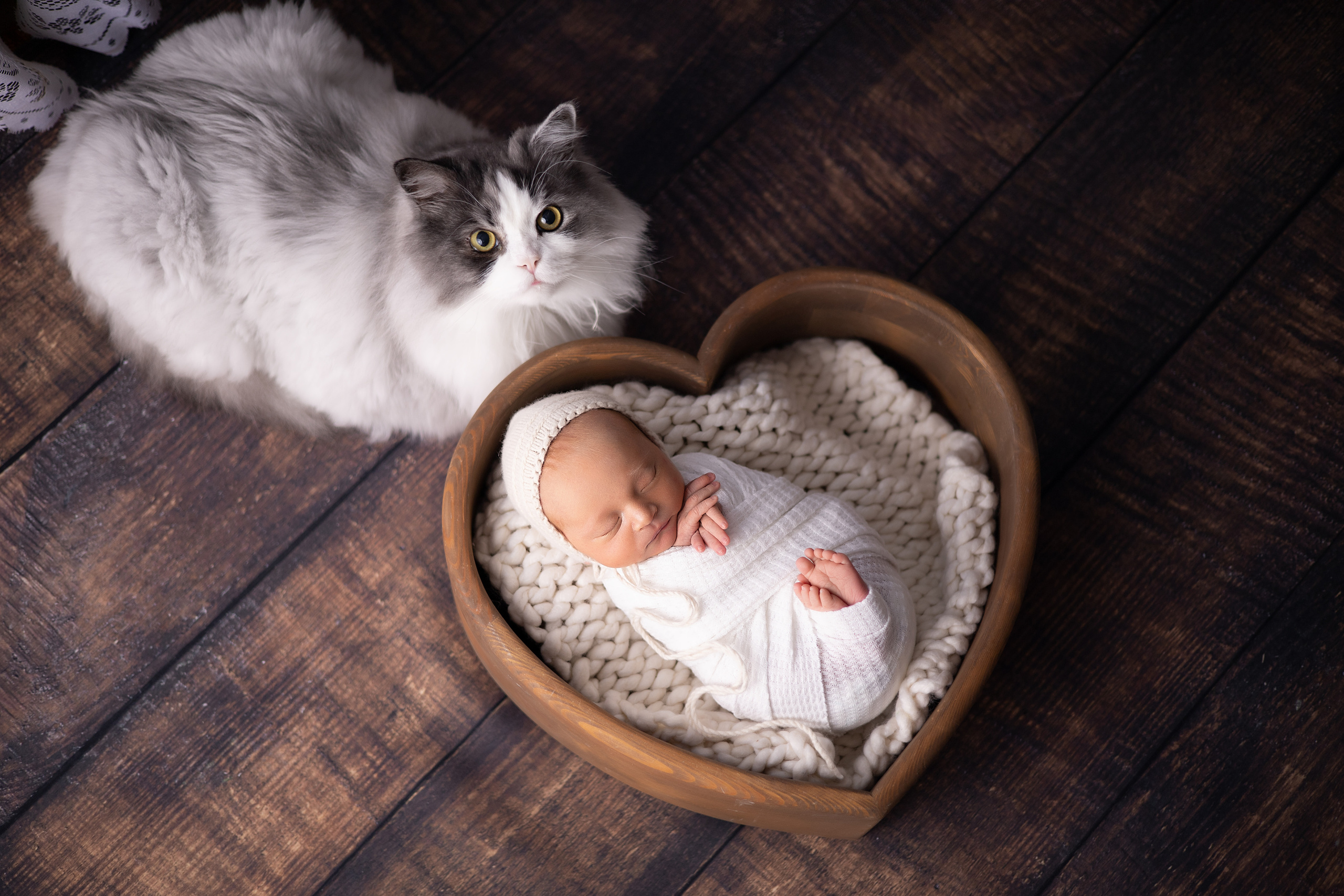 Новорожденные. Детский новорождённых и детей постарше Анисимова Полина