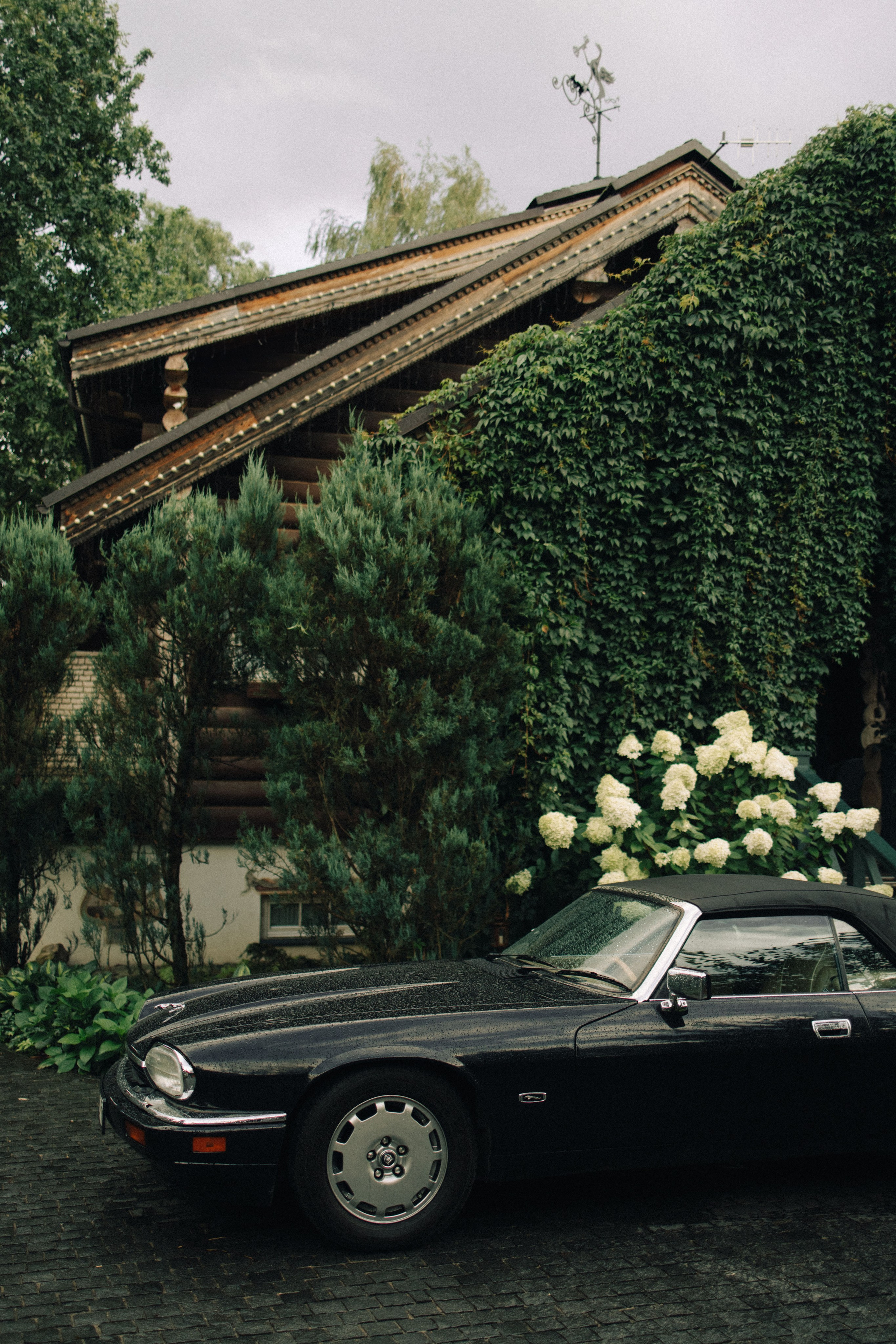 Сенешаль. Свадебный фотограф Москва