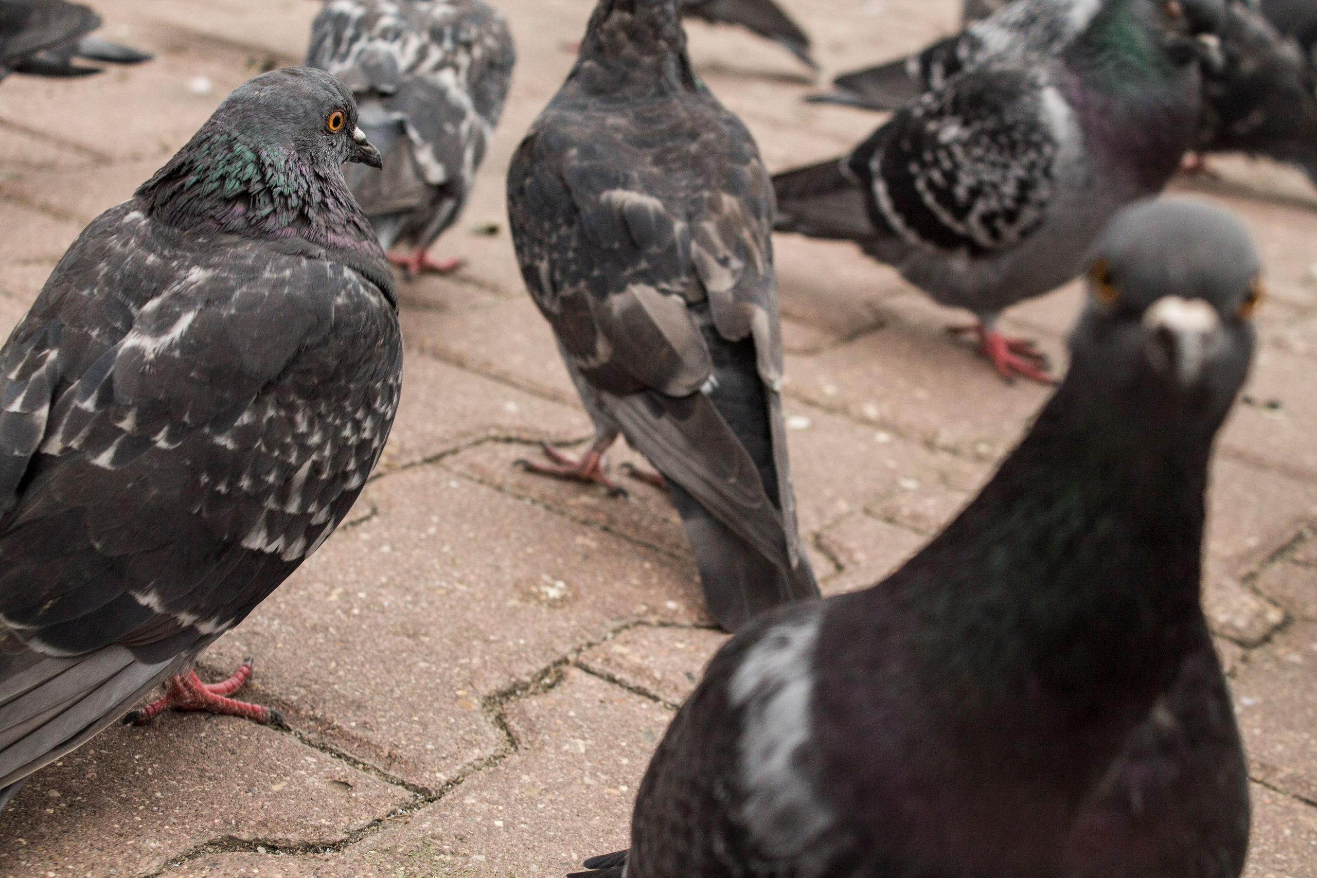 Мои первые работы. Фотограф из Москвы — DASHA NOVA | Авторская фотография в разных жанрах