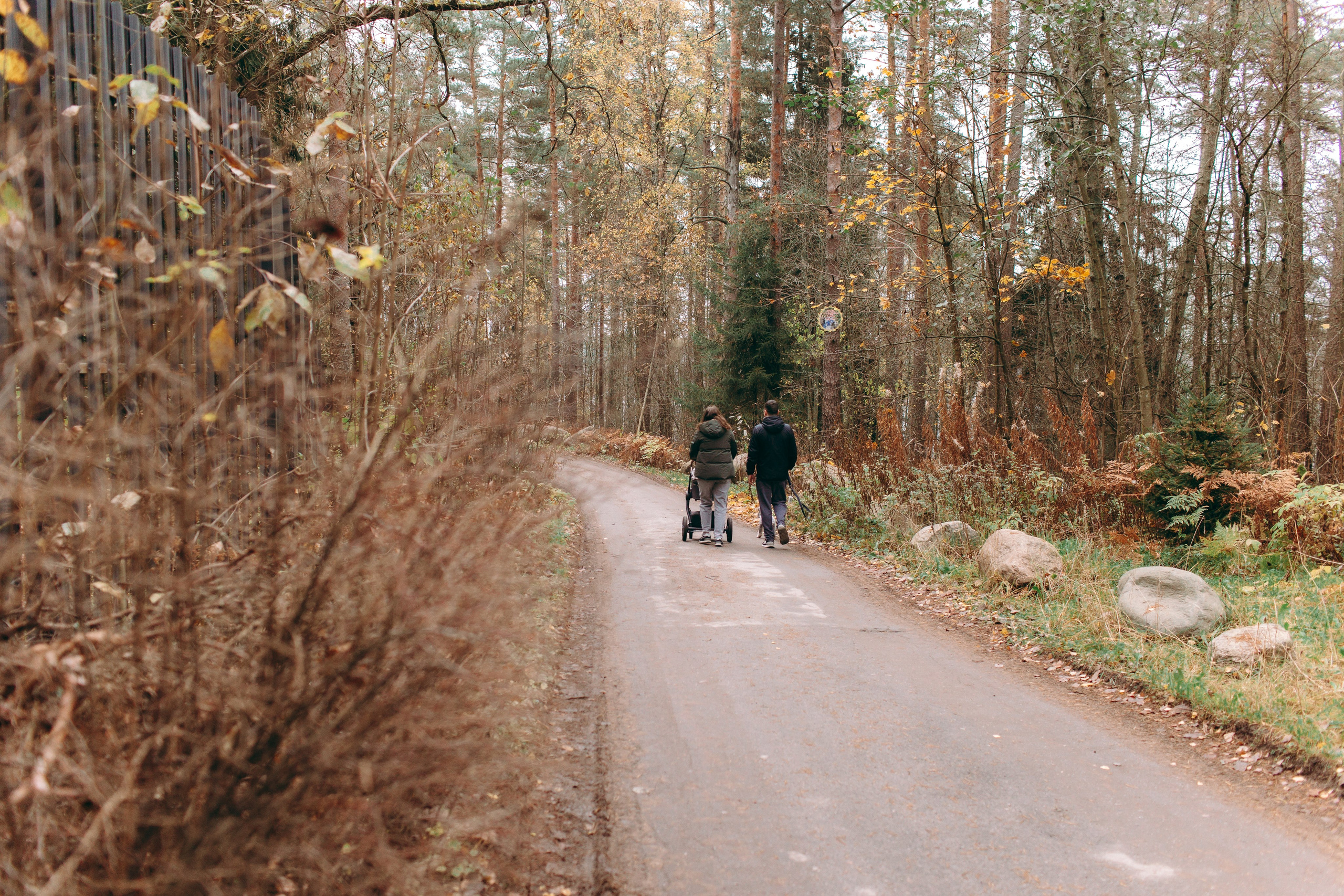 Первая осень вчетвером. Семейный фотограф в Санкт-Петербурге — Лена Тимина