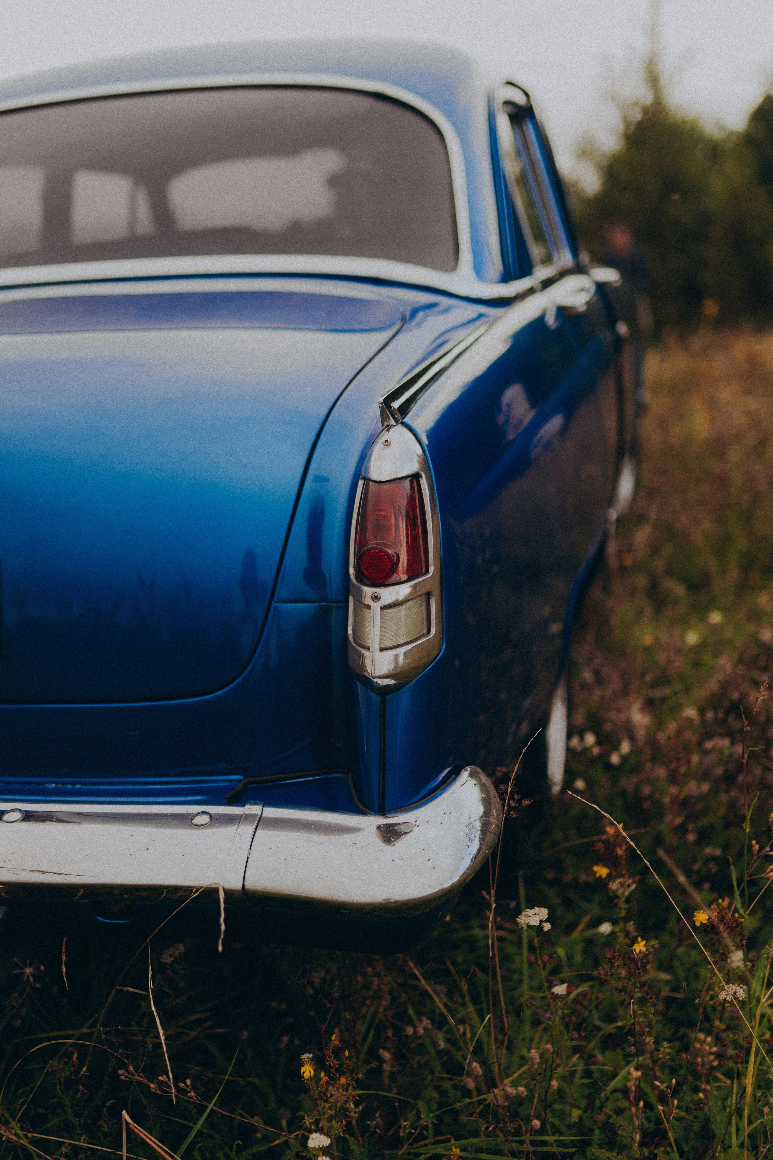 Волга. Фотограф Торопец Кристина Абрамова Kanwellia photography