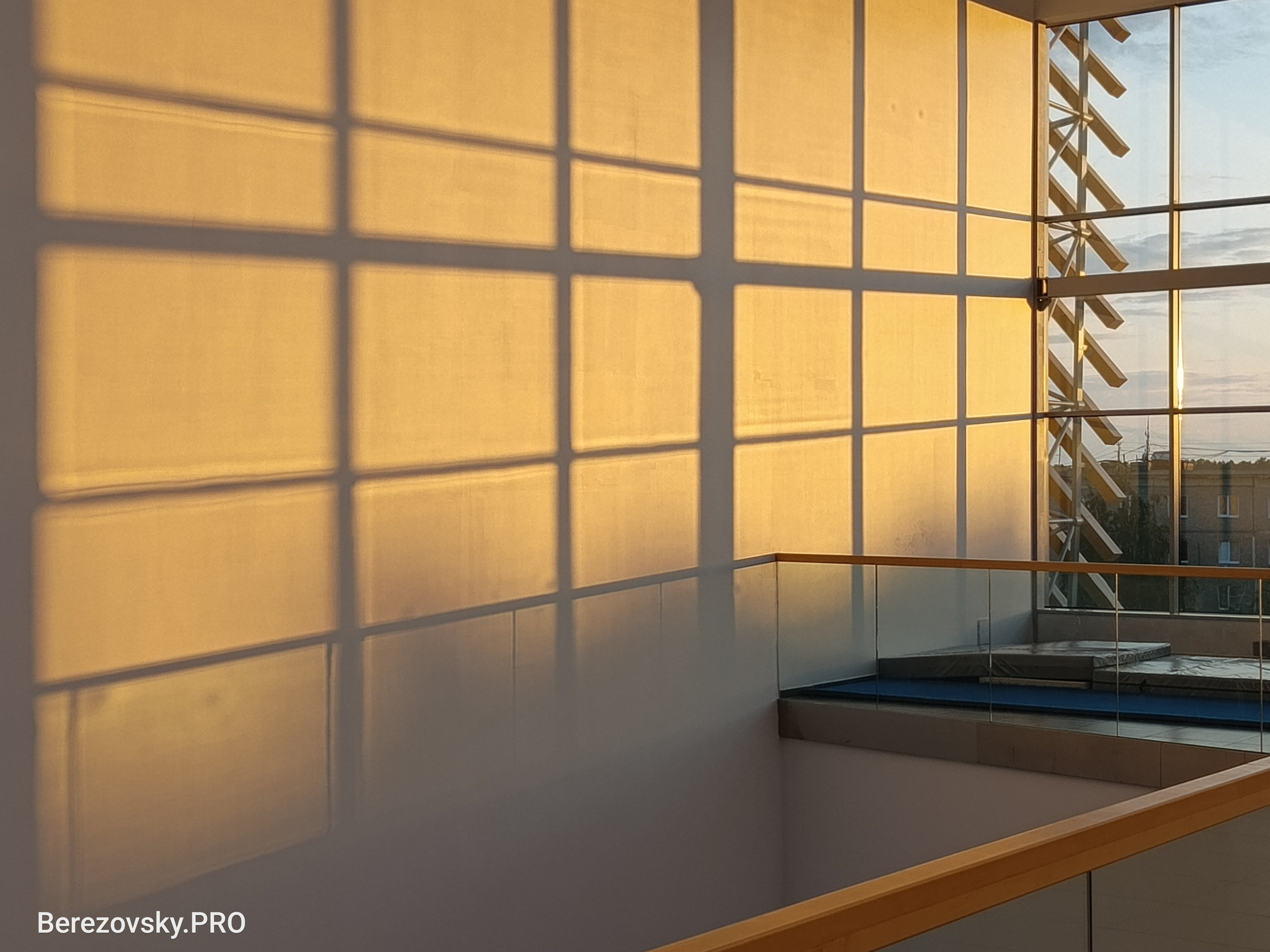 Солнечный. Фотограф в Санкт-Петербурге Березовский Даниил