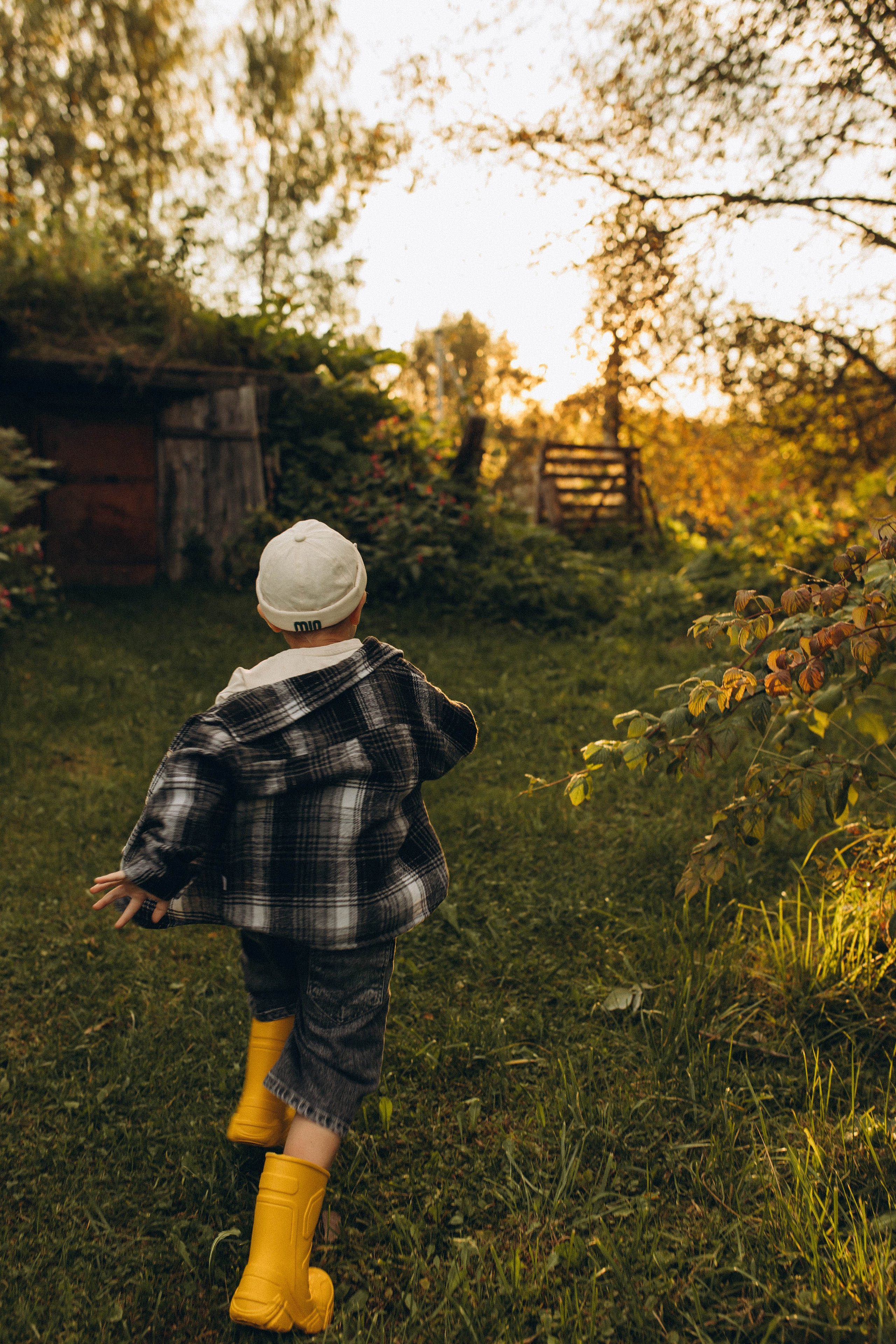 Алена и Мирон. Услуги