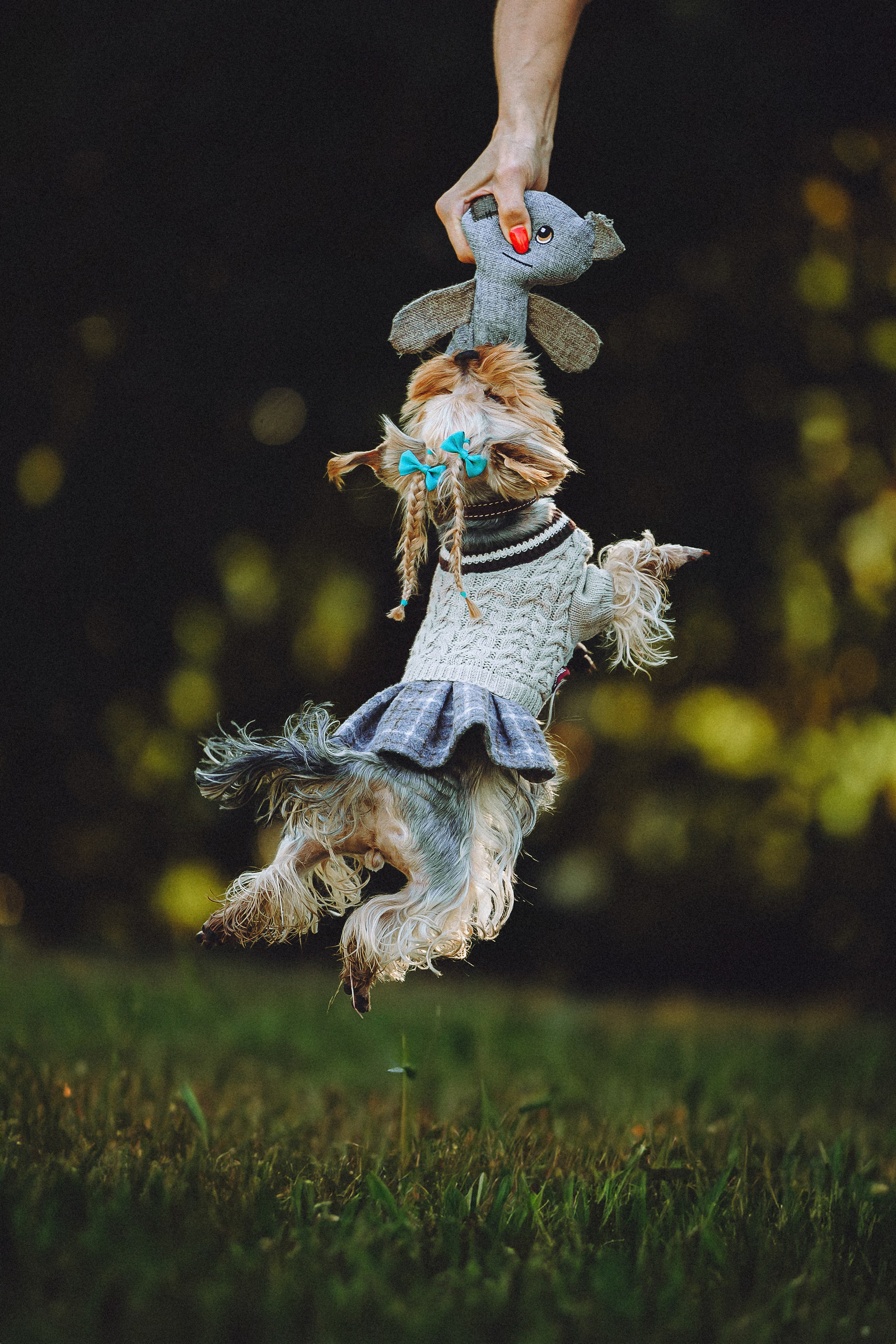 Дженни, Оливия и их семья