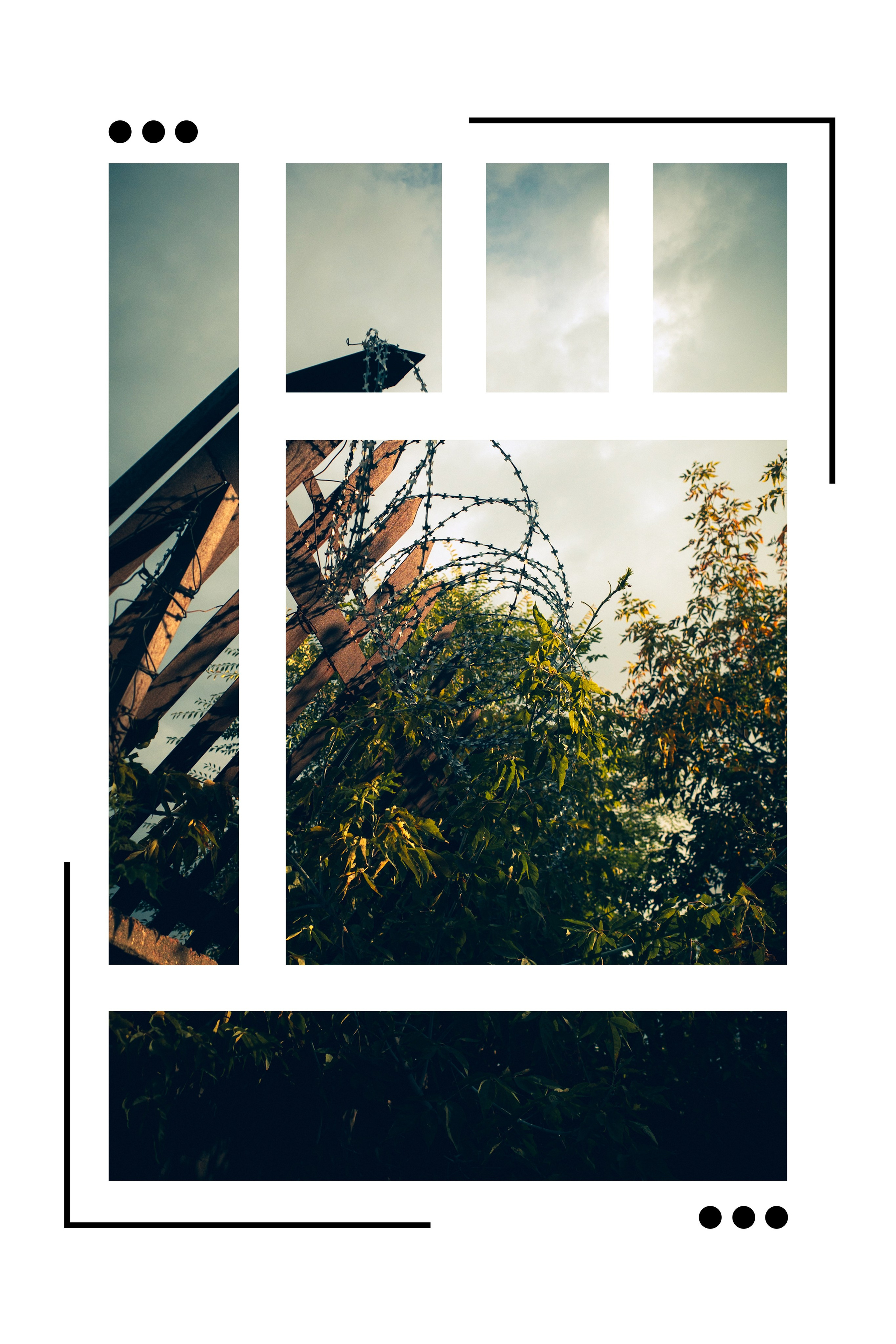 Artwork. Фотограф Ваня Бархатов