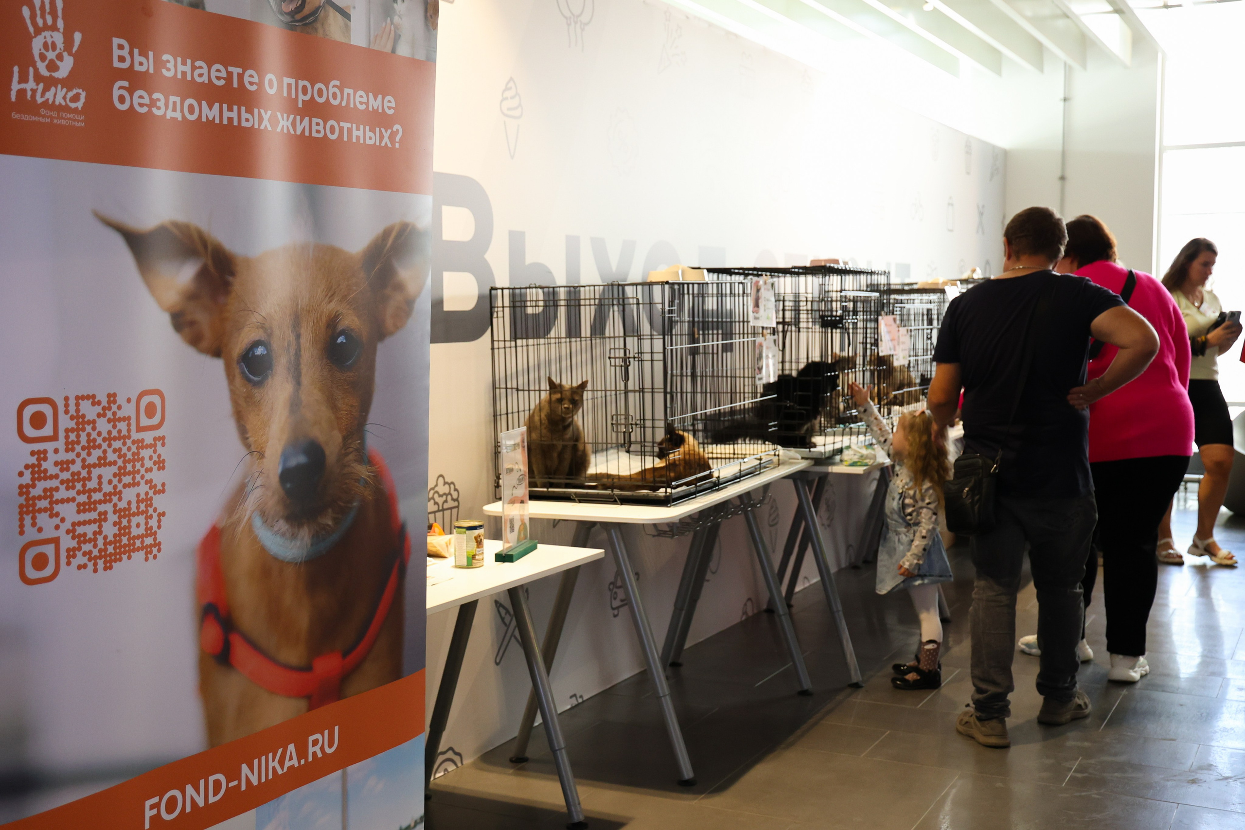 ECO FEST. Фотограф Вадим Бодылев