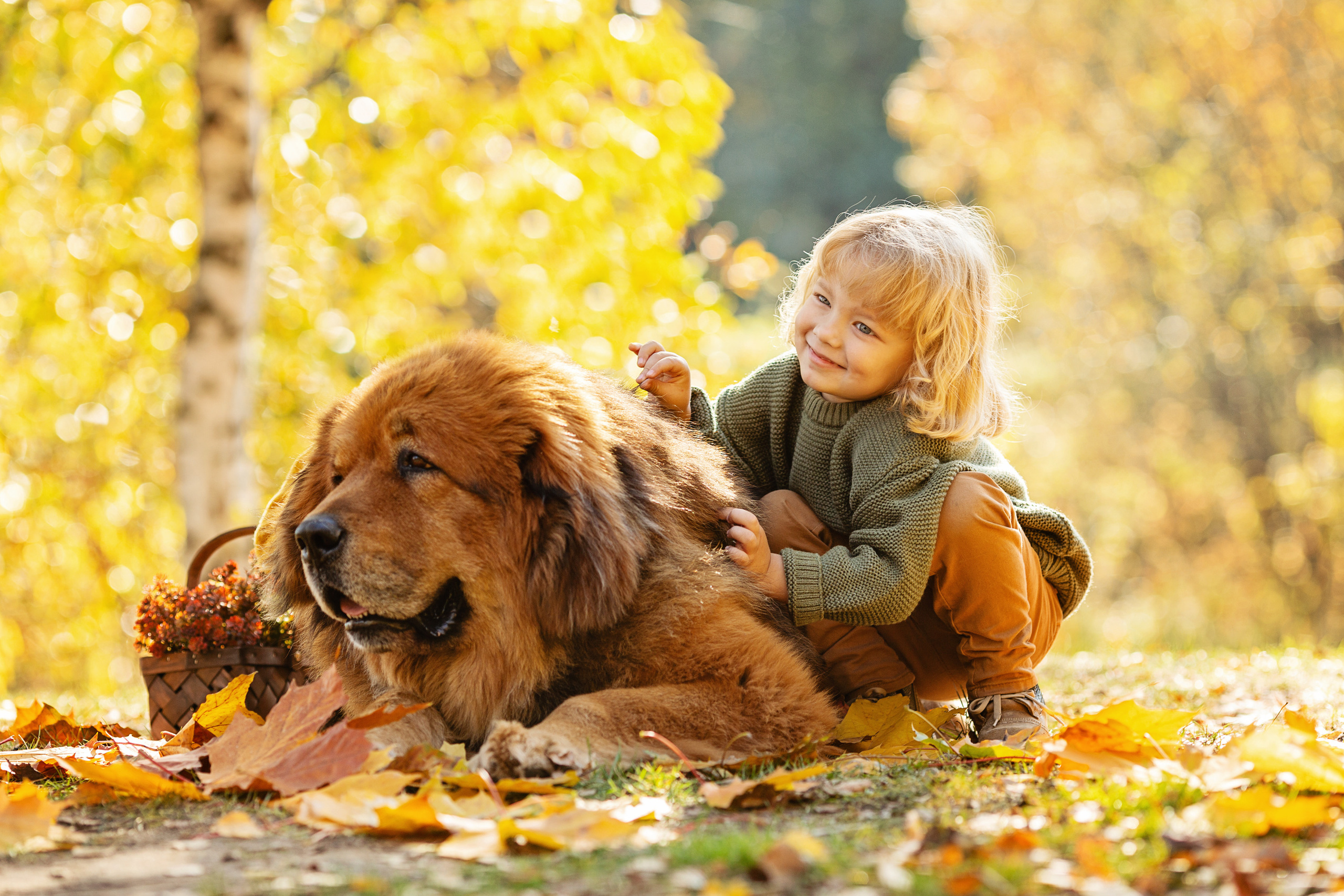 Фотопрогулки. Актерское и модельное портфолио. Фотограф в Москве Екатерина Коломеец