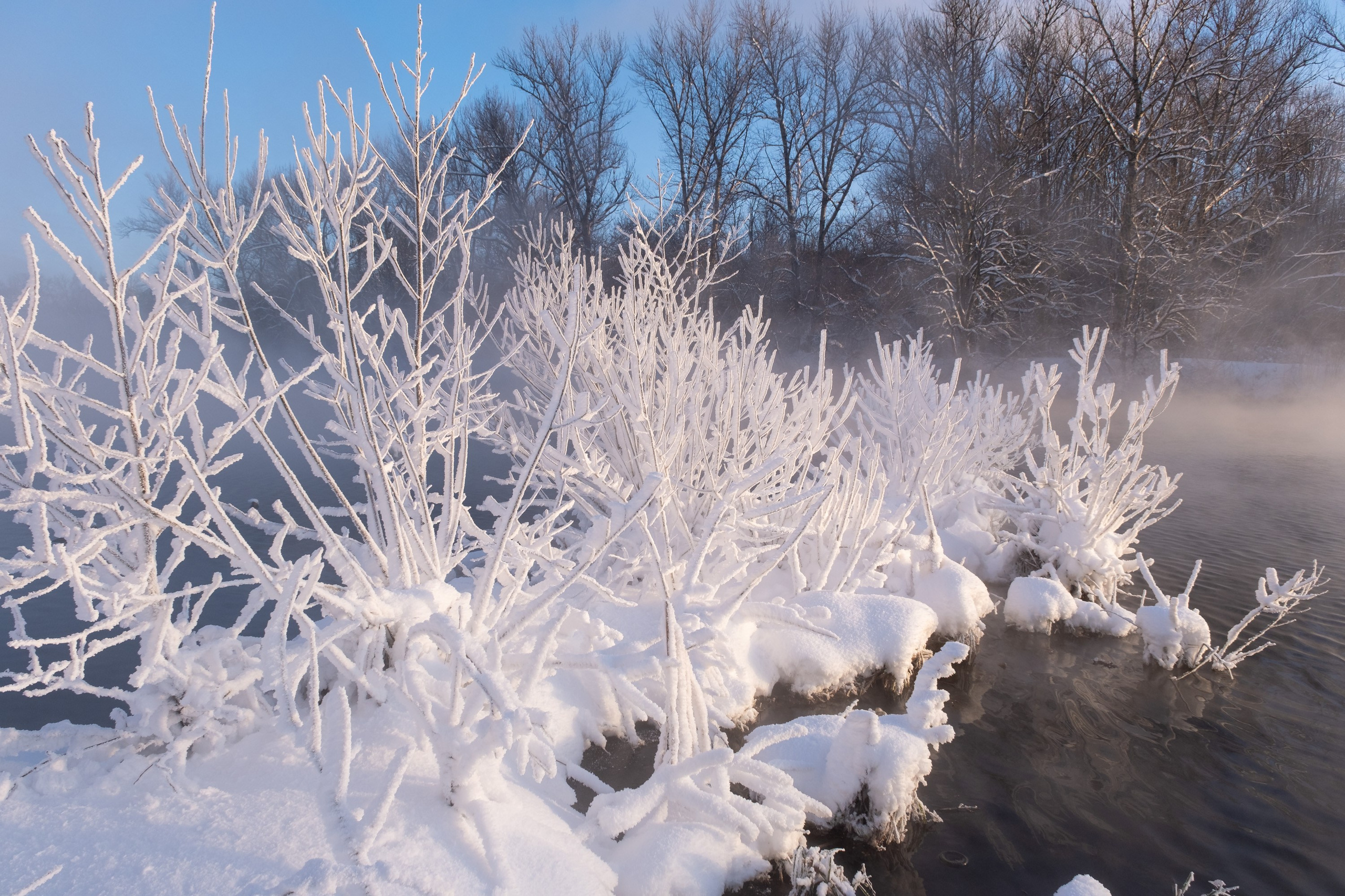 Озеро Горячка. Фотограф и видеооператор в Туле | Даниил Рыбак