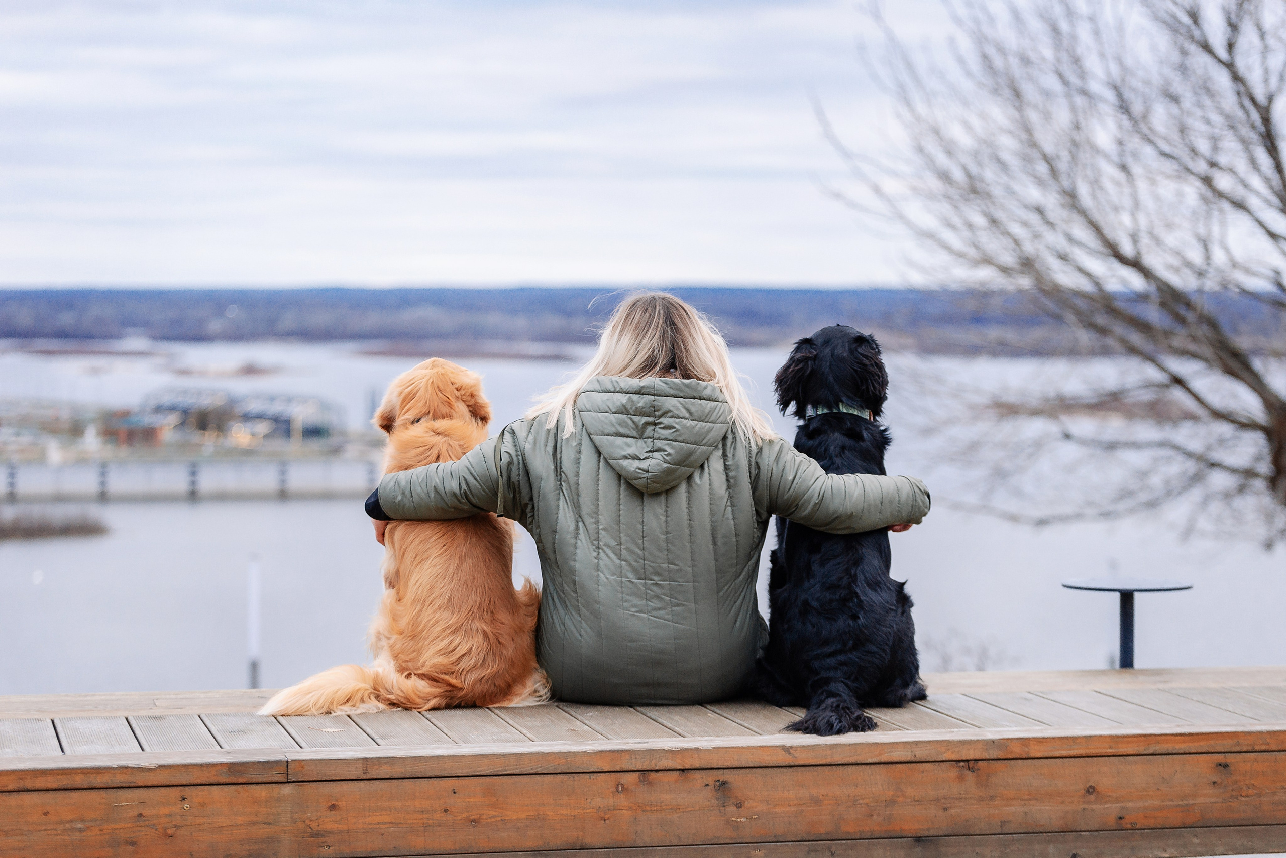 Юля, Стёпа и Мята. Фотограф-анималист Анастасия Парфенова|Екатеринбург