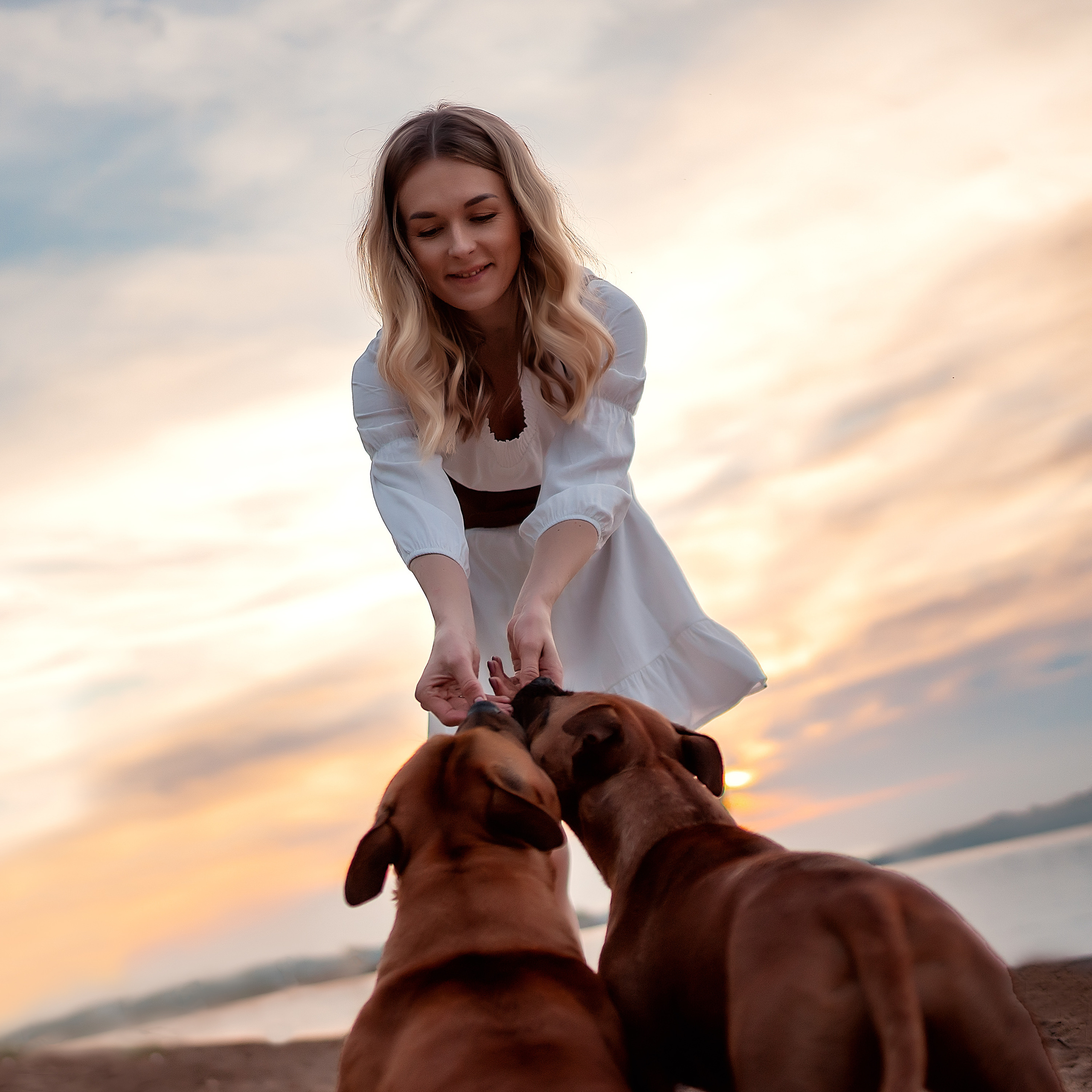 Фотосессия с собаками. Фотограф Кочнова Диана город Владивосток