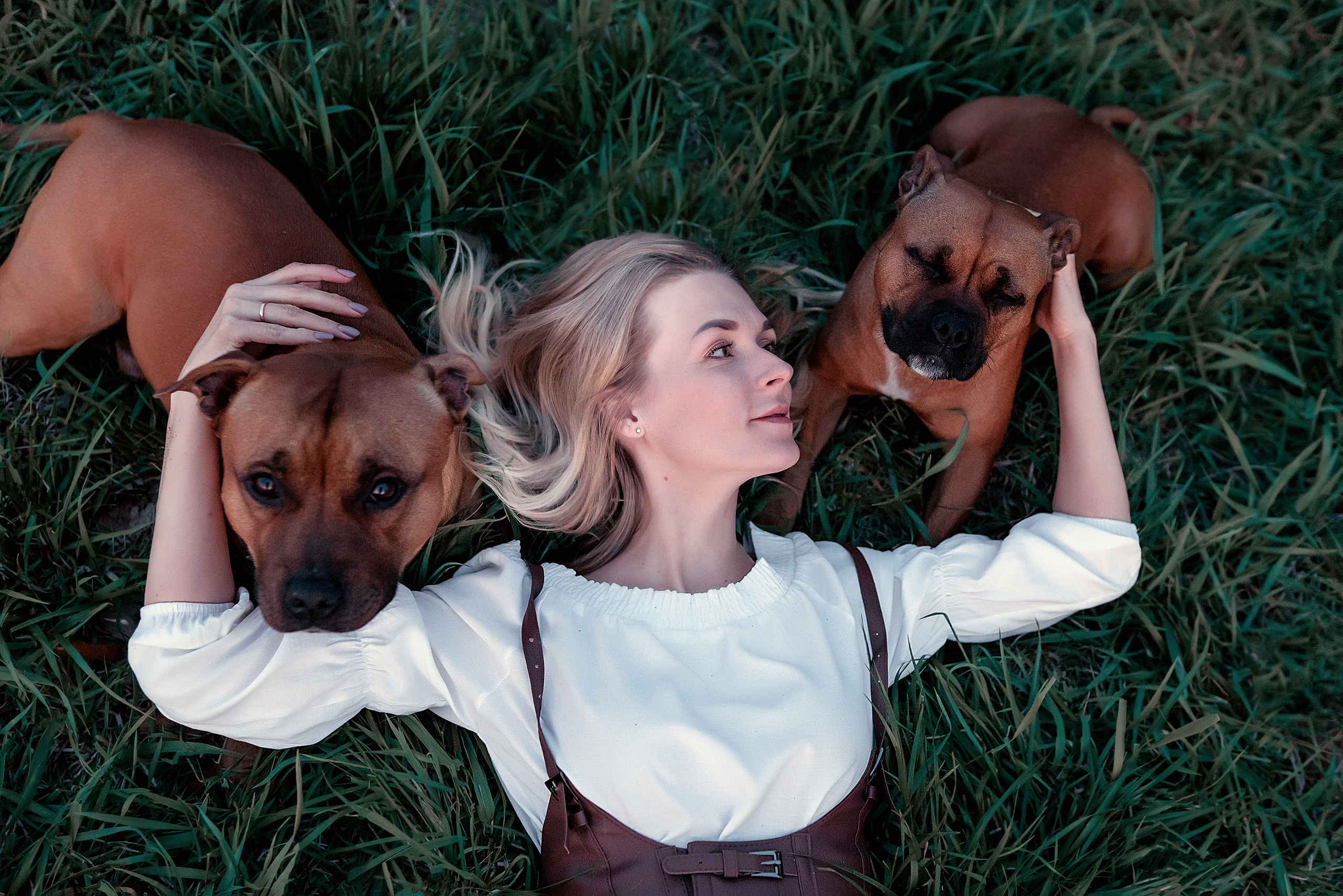 Фотосессия с собаками. Фотограф Кочнова Диана город Владивосток