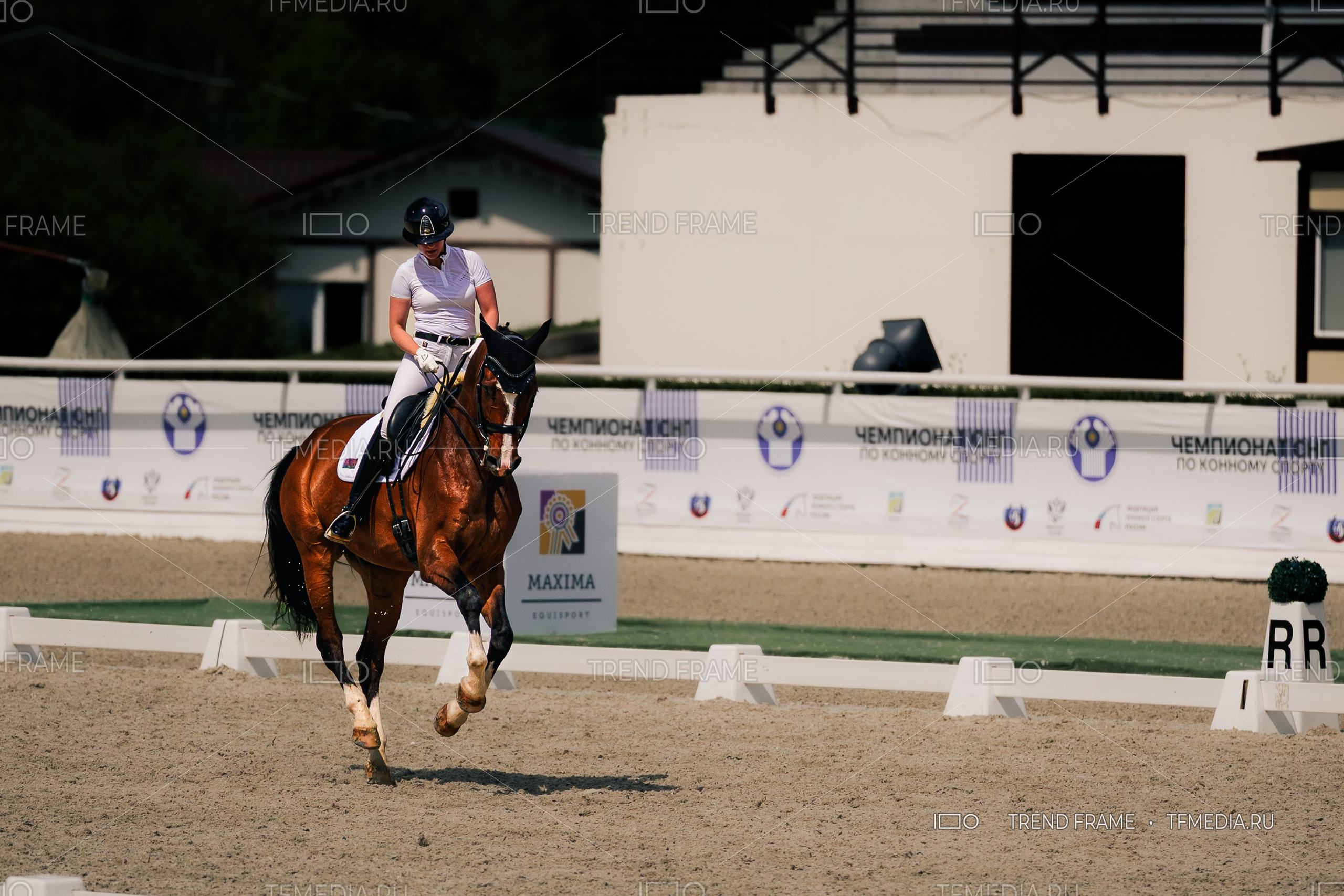 Maxima Park, Евразийские Игры 2025 — всадница выполняет элементы выездки на арене. Премиальная спортивная фотосъёмка TrendFrame.
