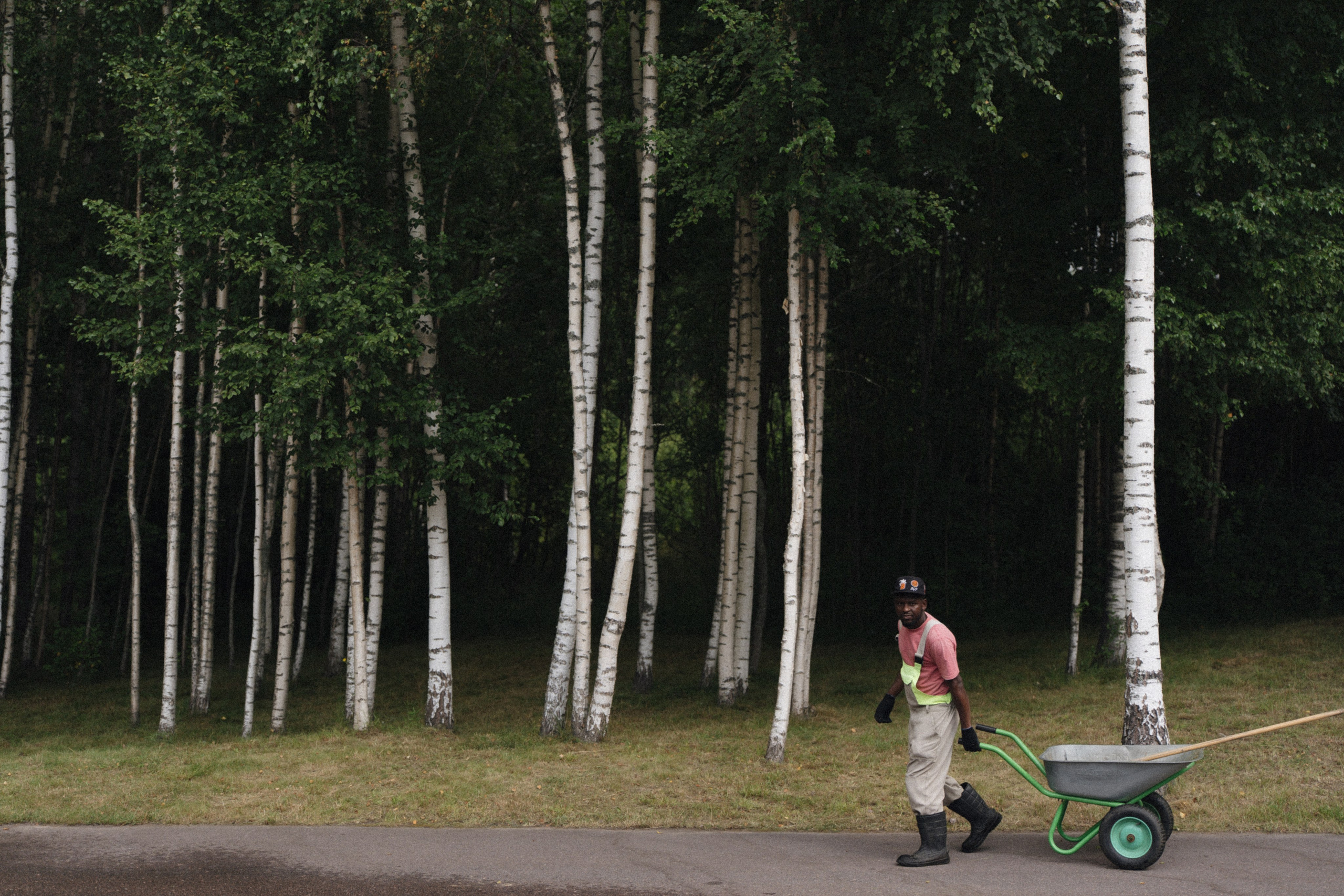 Forest Symphony. Фотограф в Санкт-Петербурге Александр Дымов