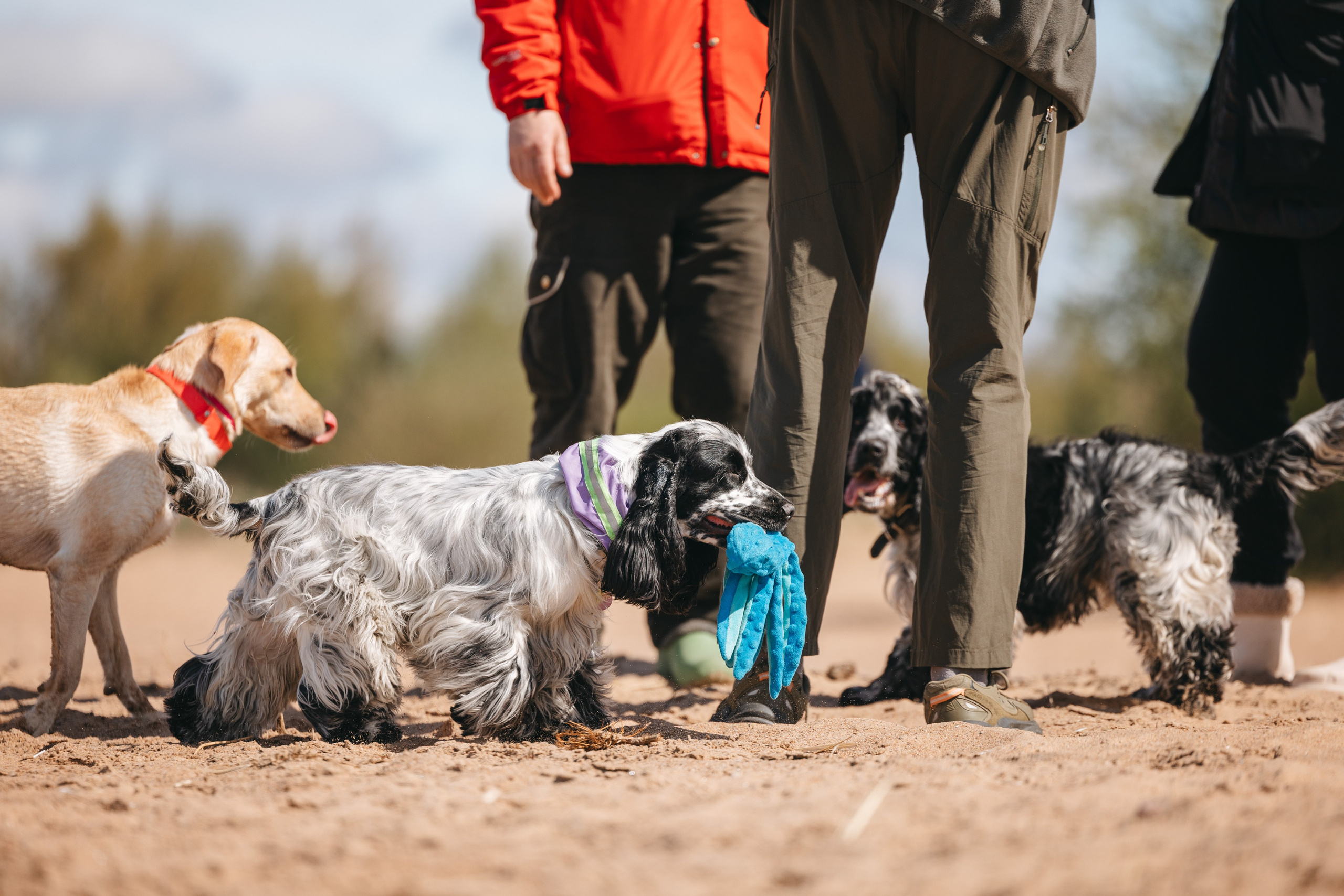 Спанимания. Фотограф анималист Осипчикова Мария