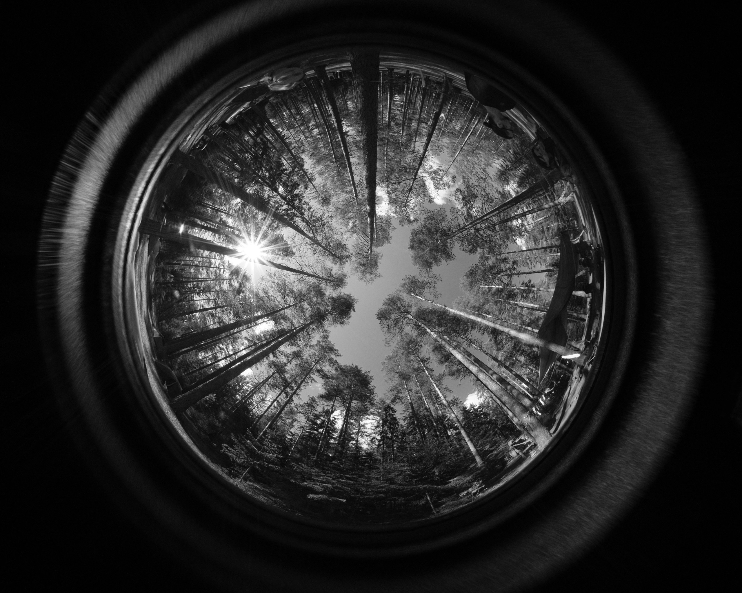 Орехово | май 2025