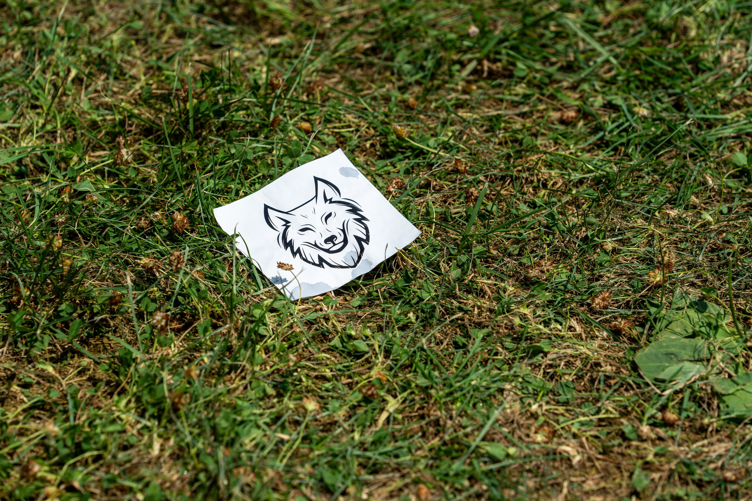 MICE мероприятие в Skypark «Фортбоярд». Репортажный фотограф в Красной Поляне и Сочи Павлюченко Екатерина