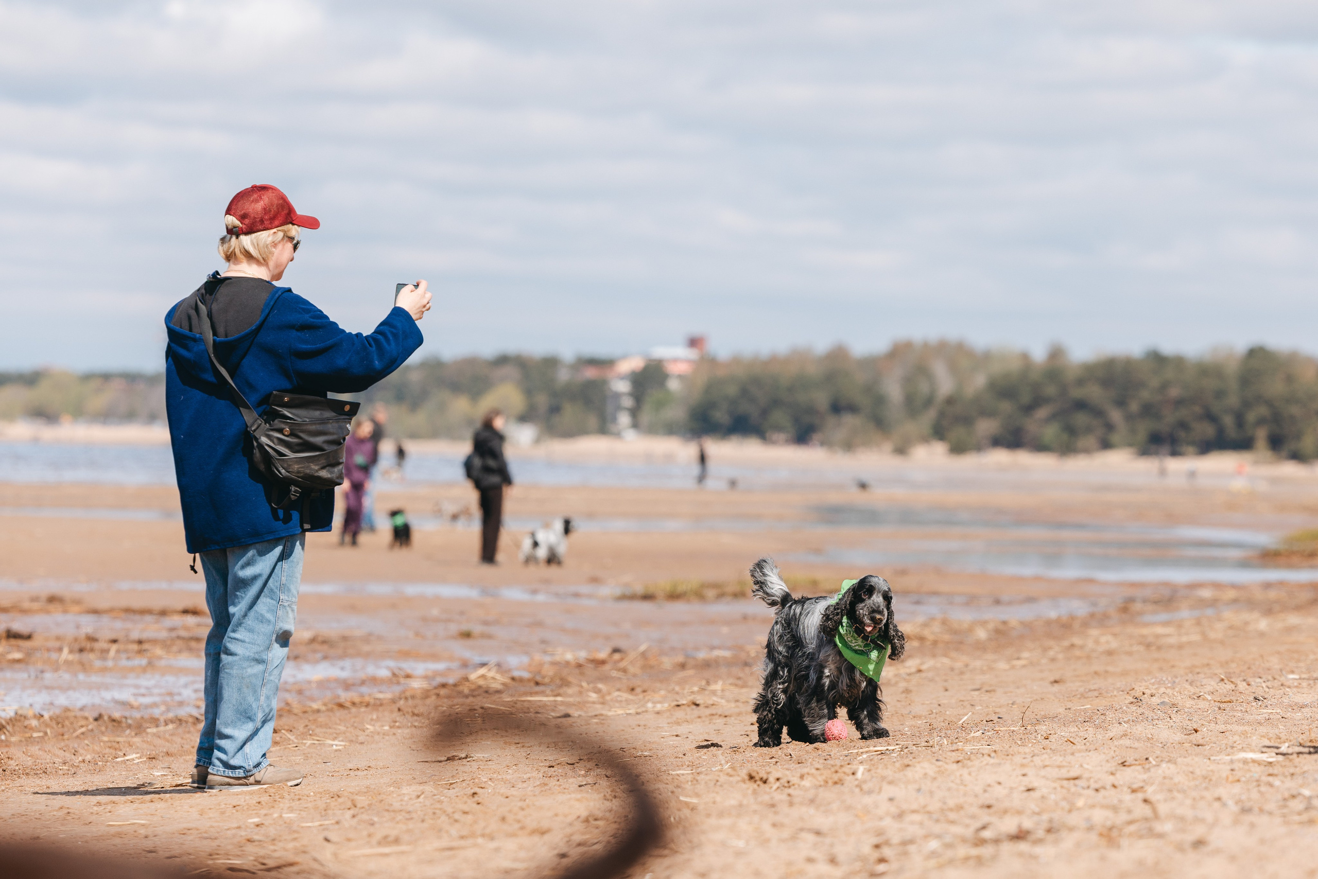 Спанимания. Фотограф анималист Осипчикова Мария