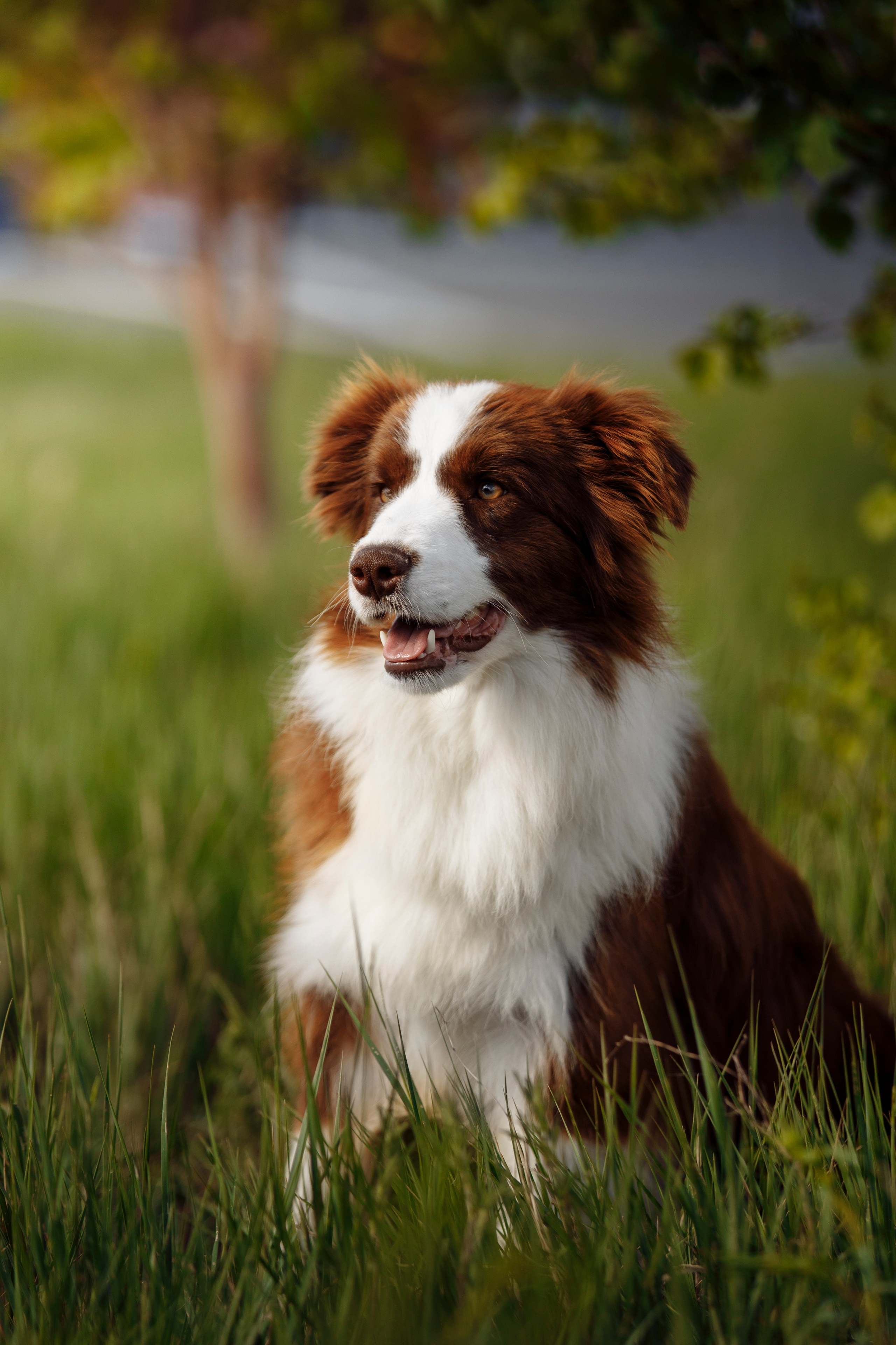 Далекий привет из Новотроицка. О нас