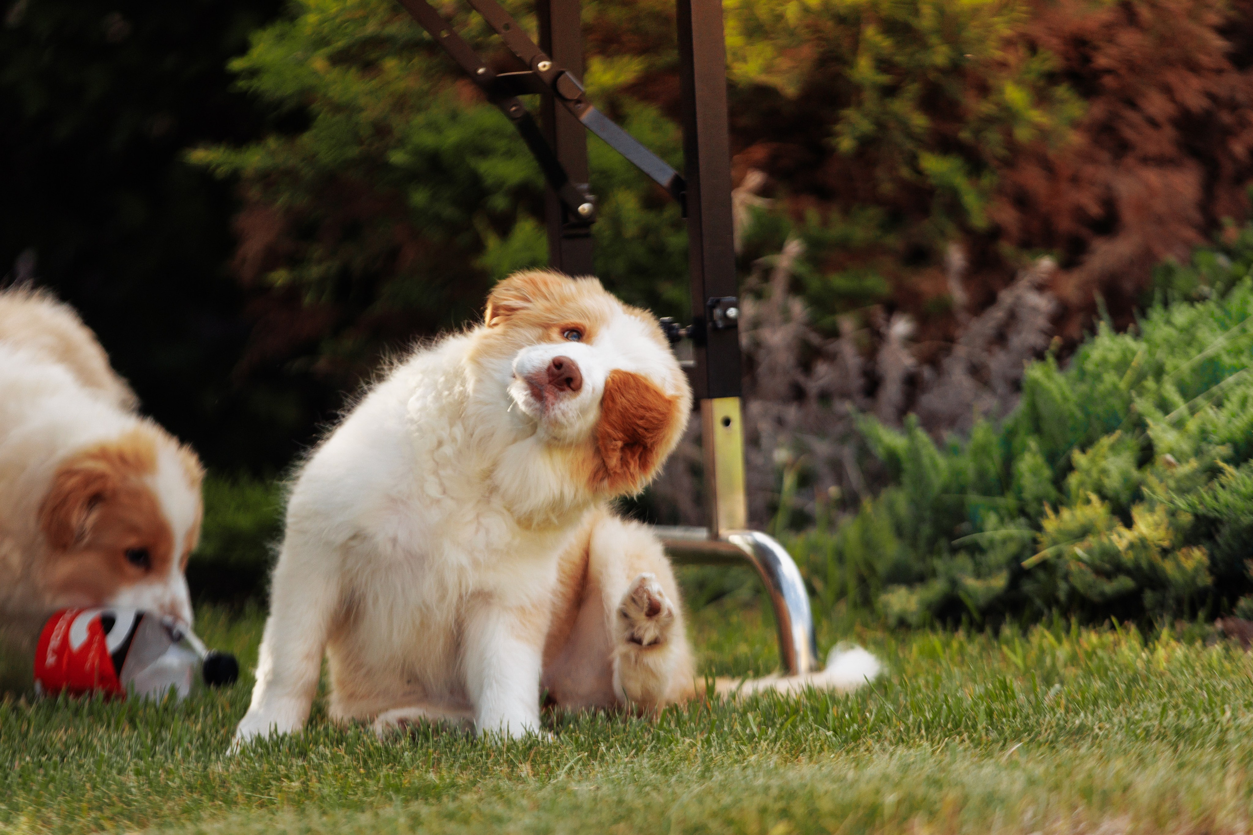 СОлнечные. О нас