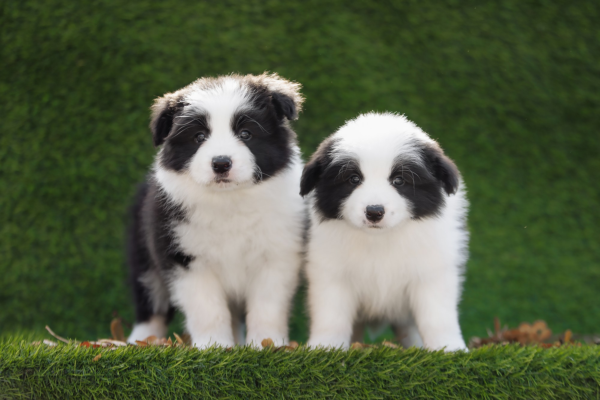 Новый лист. О нас