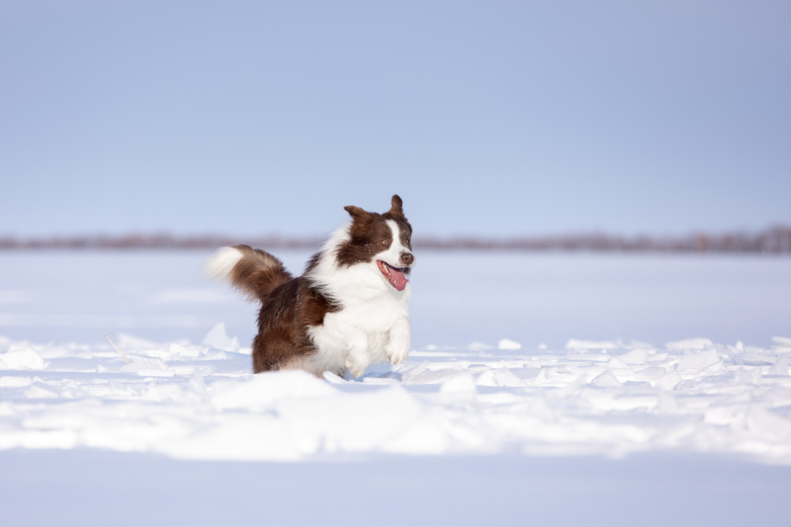 Мороз и солнце. О нас