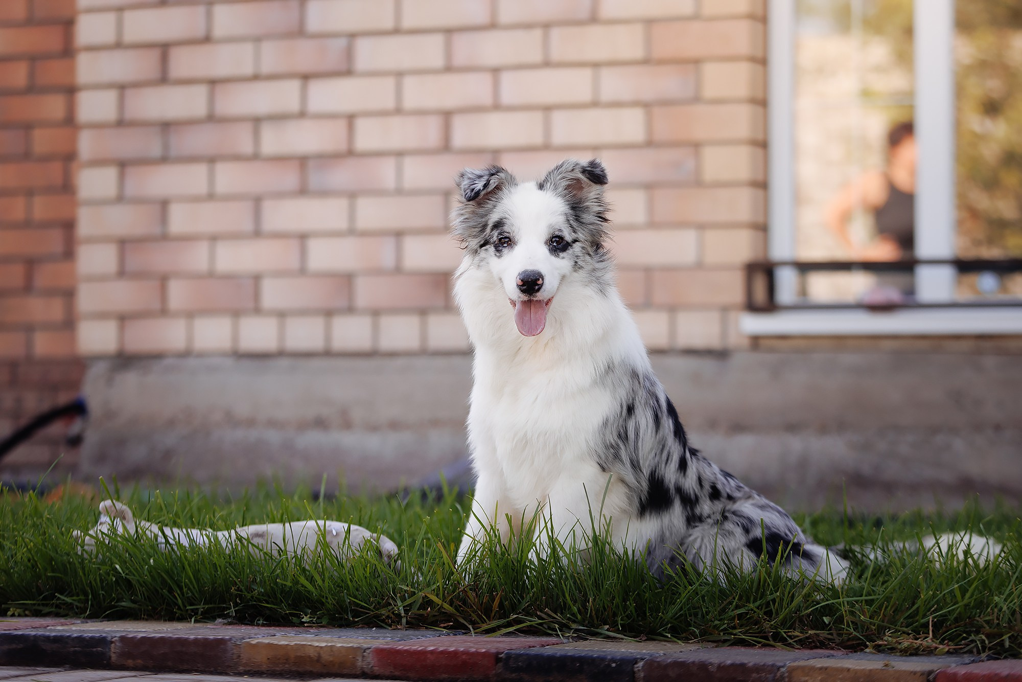 Ryzhaya Molniya Oblepiha — Люся. О нас