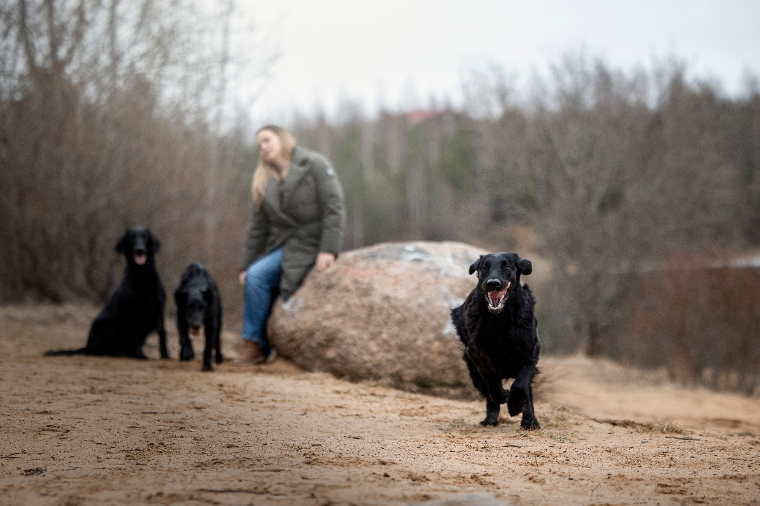Ора, Ева, Рози и их семья. Фотограф — Анималист | Санкт-Петербург
