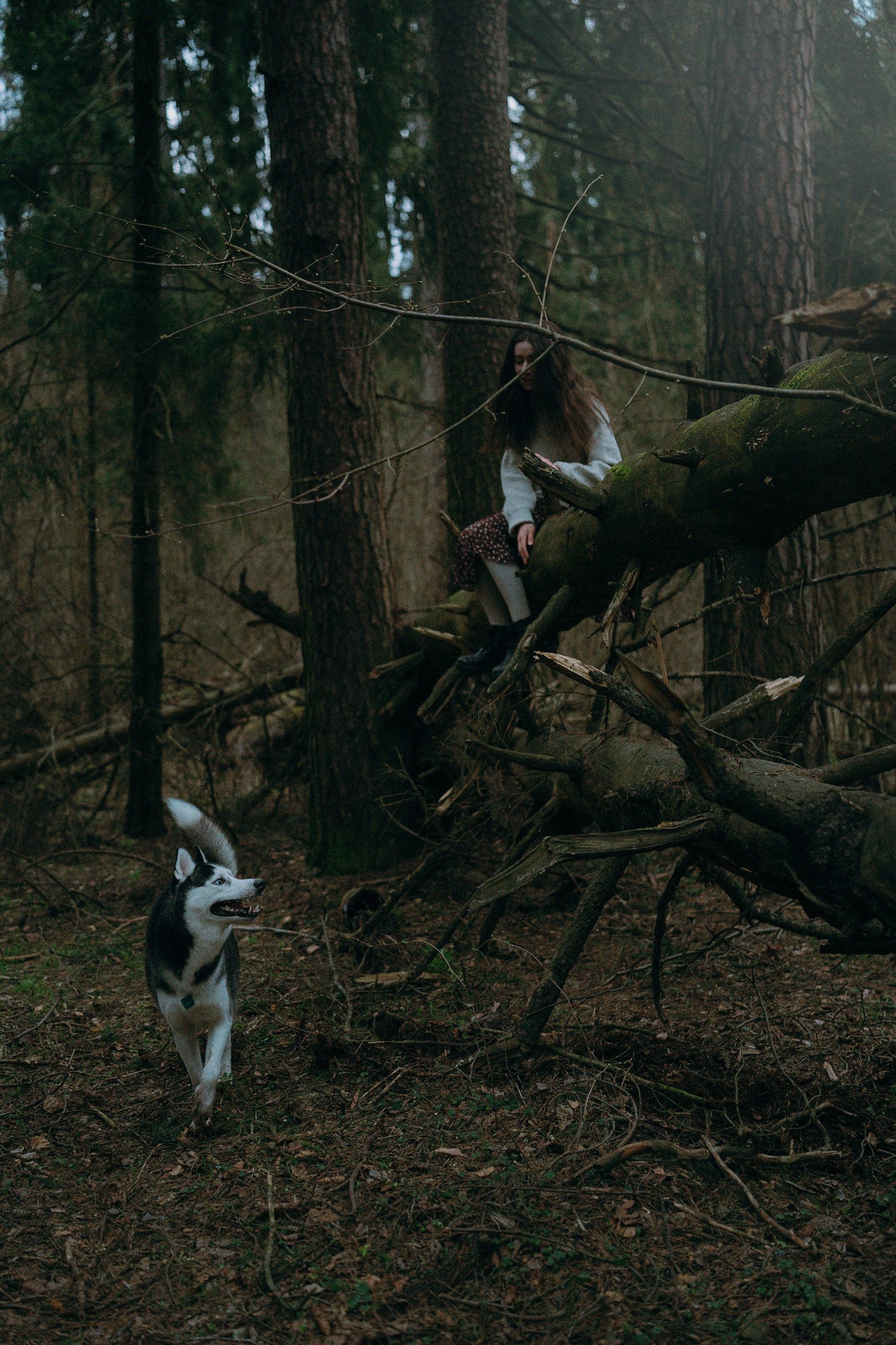 Наташа и Сириус. Фотограф анималист в Москве и Санкт-Петербурге Свиридова Анна