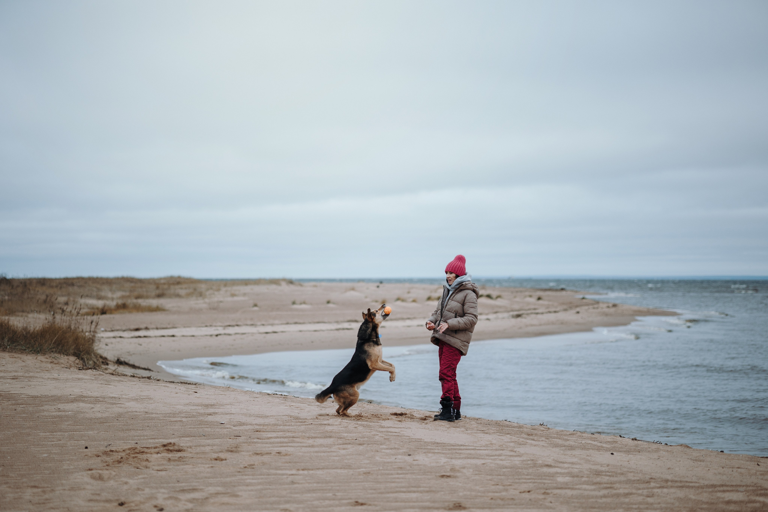 Наталья и Того. Фотограф — Анималист | Санкт-Петербург